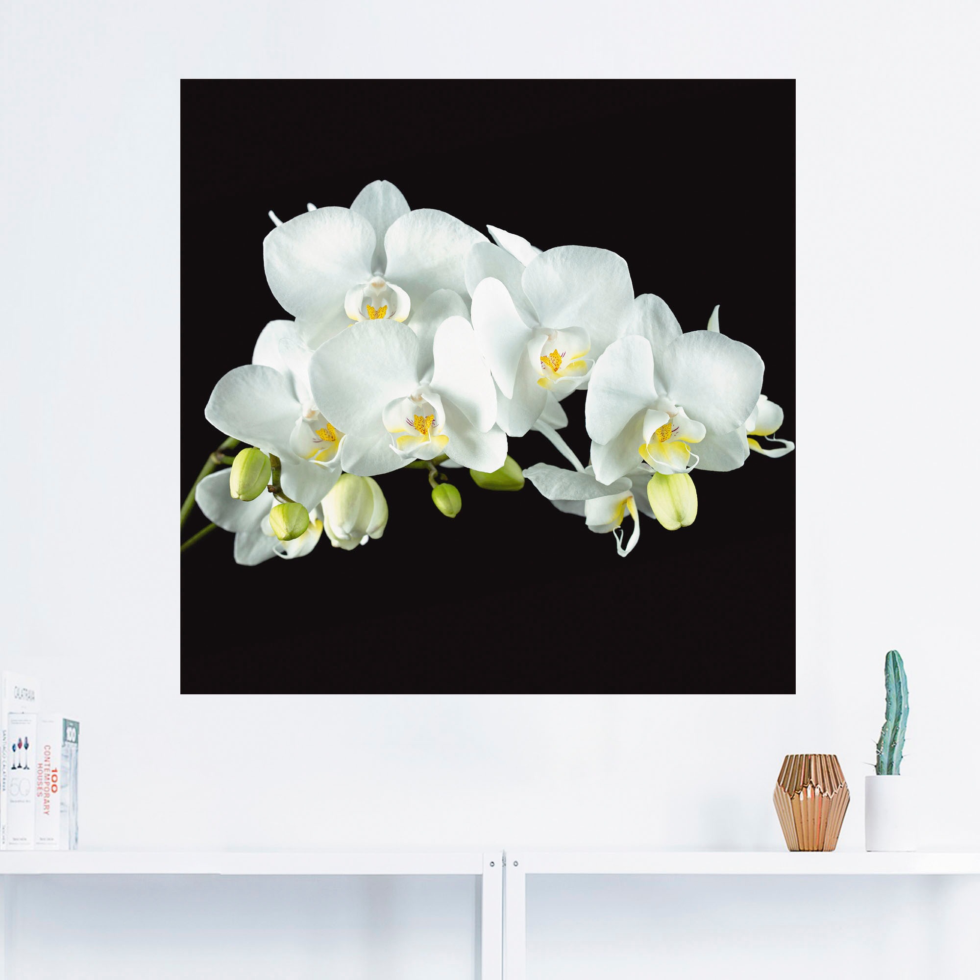 Image of Artland Wandbild »Weisse Orchidee auf schwarzem Hintergrund«, Blumen, (1 St.), in vielen Grössen & Produktarten - Alubild / Outdoorbild für den Aussenbereich, Leinwandbild, Poster, Wandaufkleber / Wandtattoo auch für Badezimmer geeignet bei Ackermann Vers