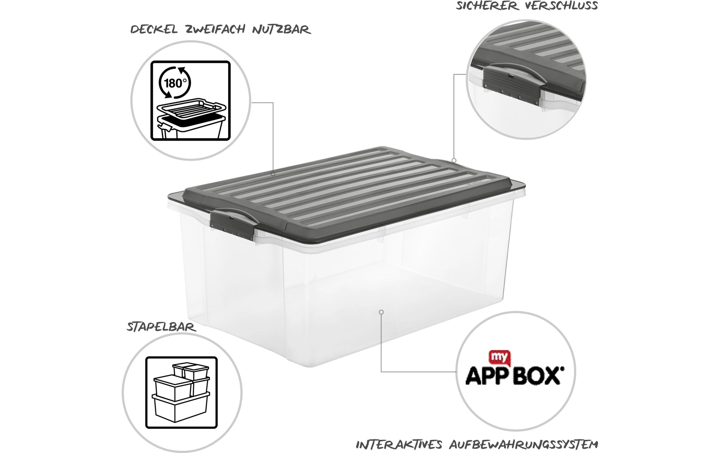 ROTHO Aufbewahrungsbox »COMPACT, 3 tlg.«, (3 St.)