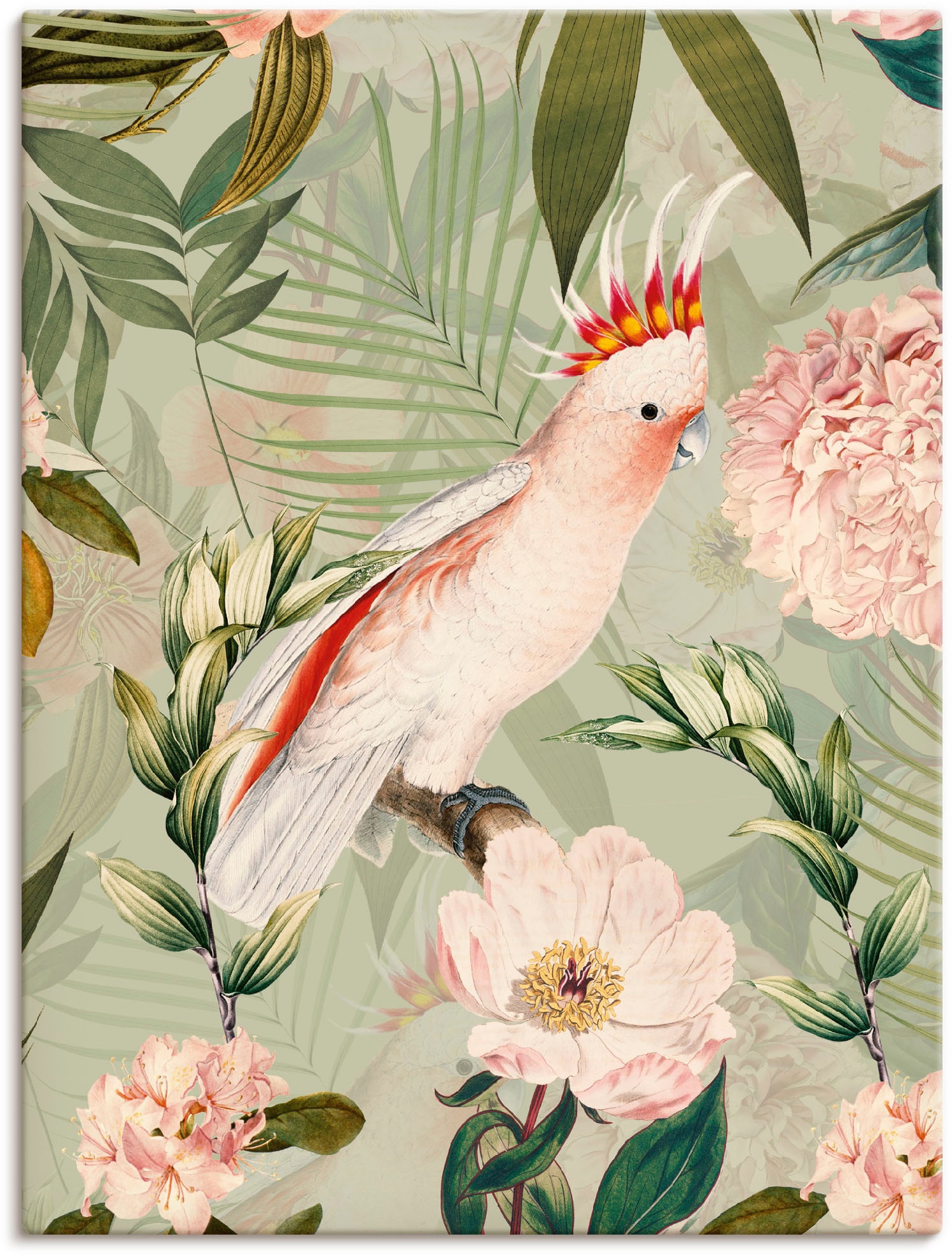 Image of Artland Wandbild "Vintage Papagei" Vogelbilder 1 Stk. tlg. als Leinwandbild, Poster in verschied. Grössen