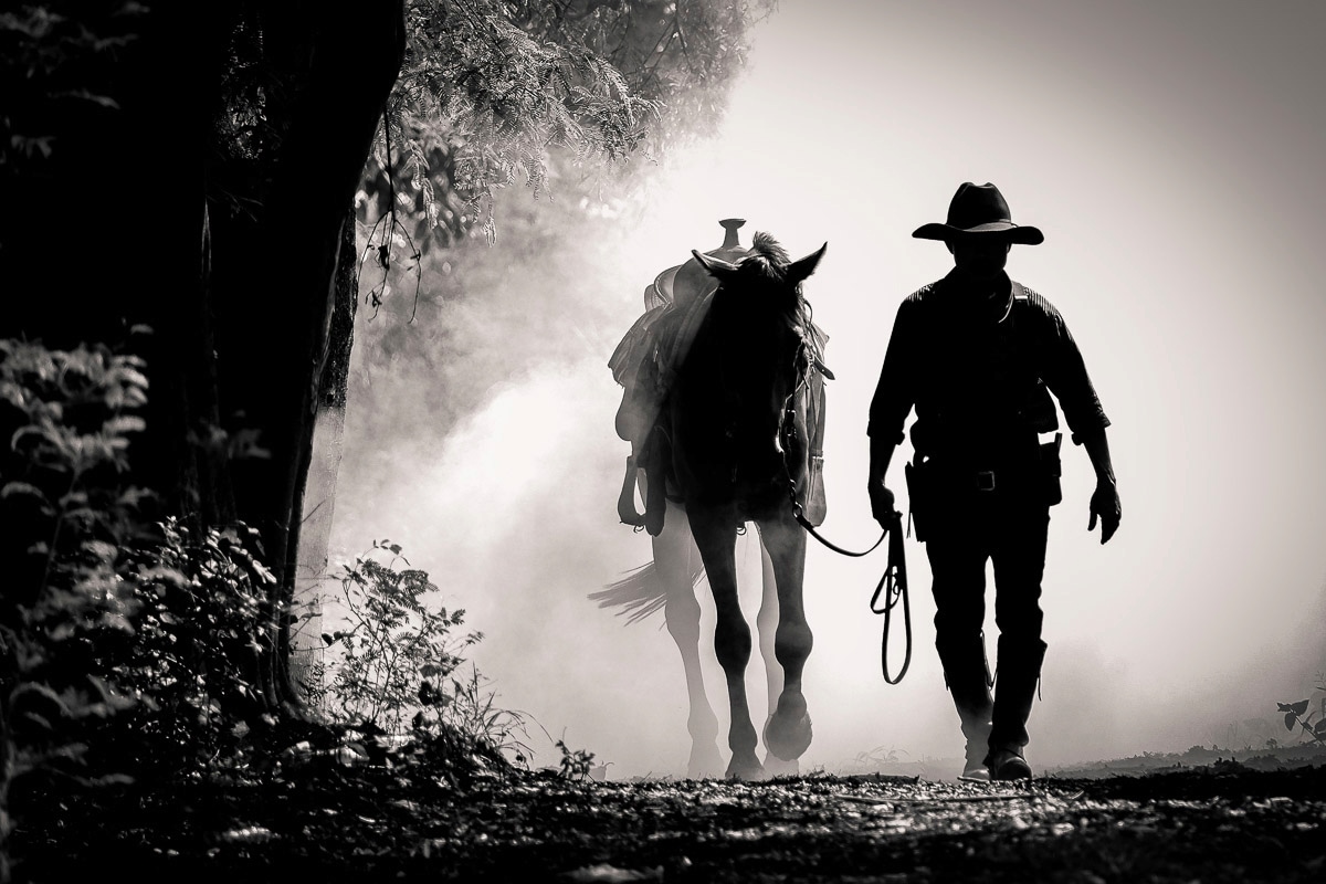 Image of Papermoon Fototapete "WILDE WESTEN-PFERD TIERE PFERDE SCHWARZ WEIss WANDTAPETE"