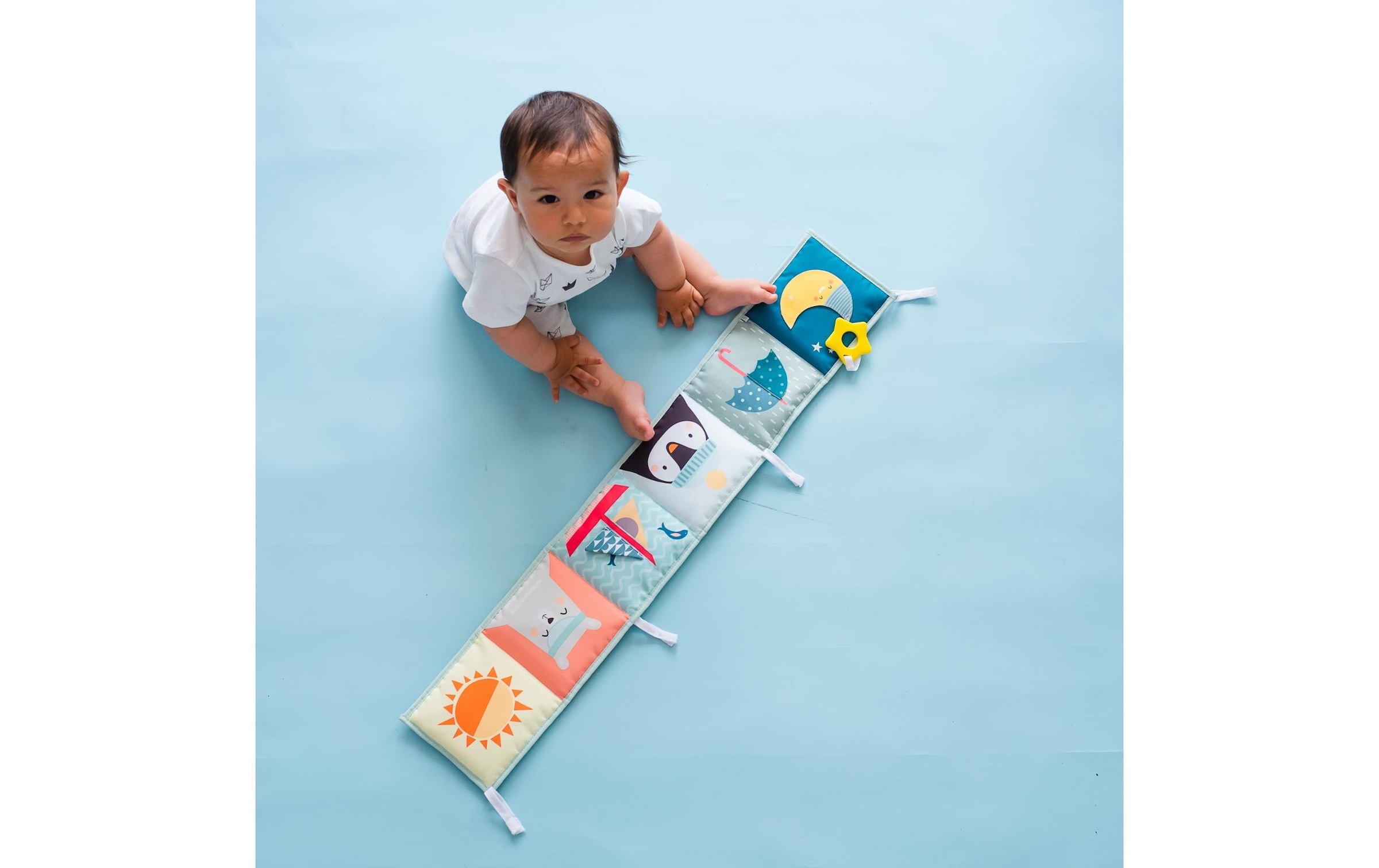 TAF TOYS Jouets éducatifs »Nordpol 0M+«