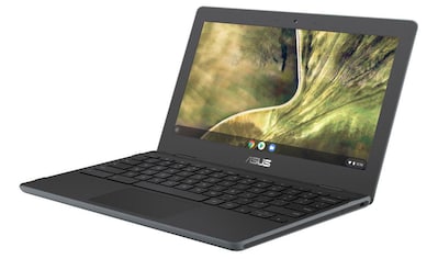 Asus Notebook »Chromebook C204MA-GJ0243«, (29,5 cm/11,6 Zoll), Intel, Celeron, UHD... kaufen