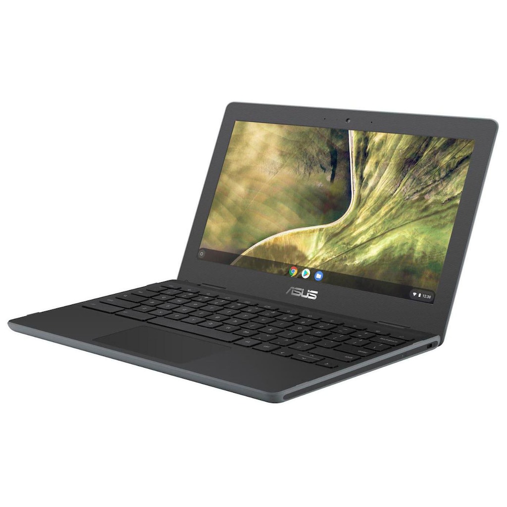 Asus Notebook »C204MA-GJ0023«, 29,46 cm, / 11,6 Zoll, Intel, Celeron, UHD Graphics, 0 GB HDD, 0 GB SSD