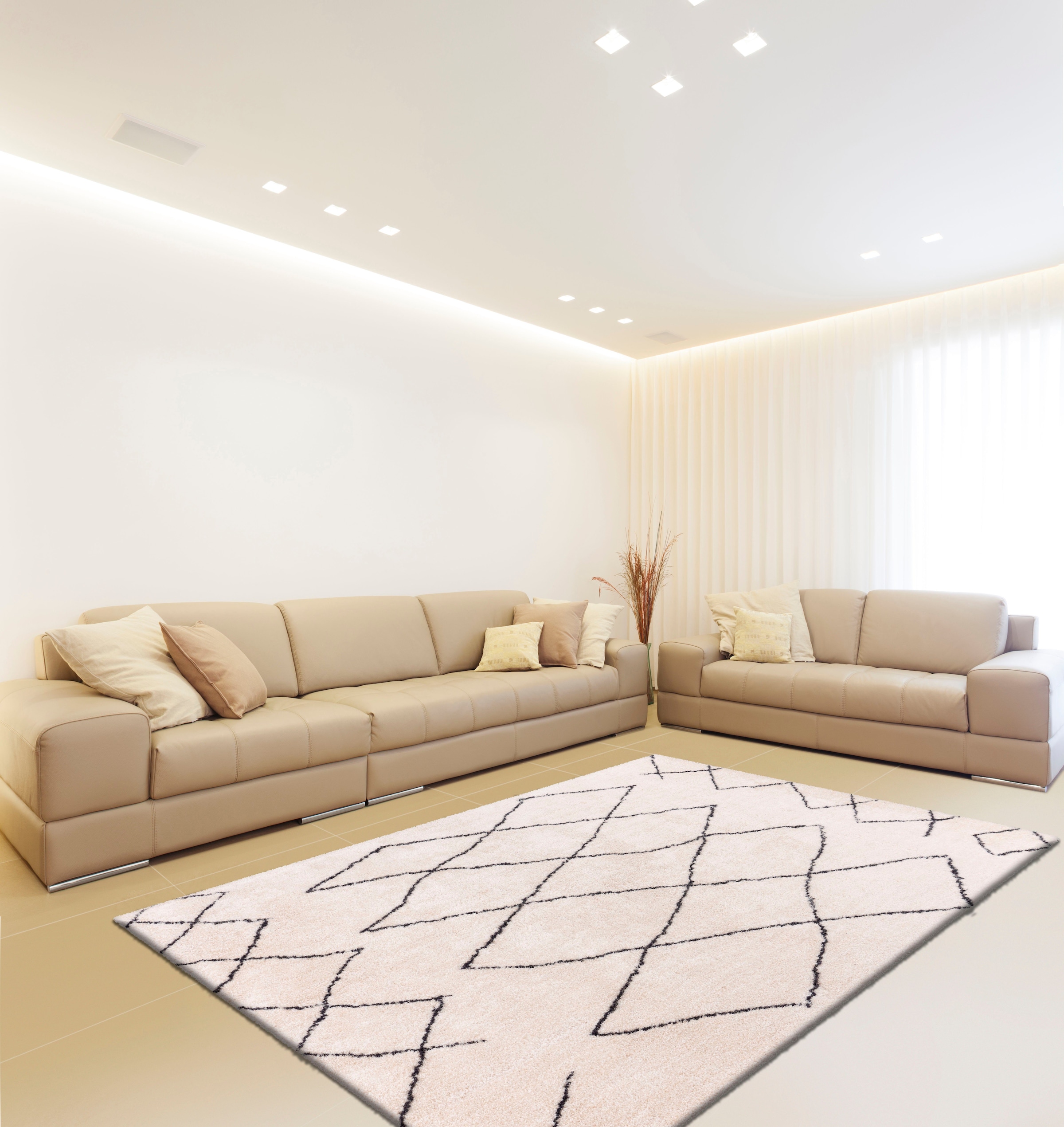 calo-deluxe Hochflor-Teppich »Elvar-4000«, rechteckig, 27 mm Höhe, besonders weich durch Microfaser, Wohnzimmer