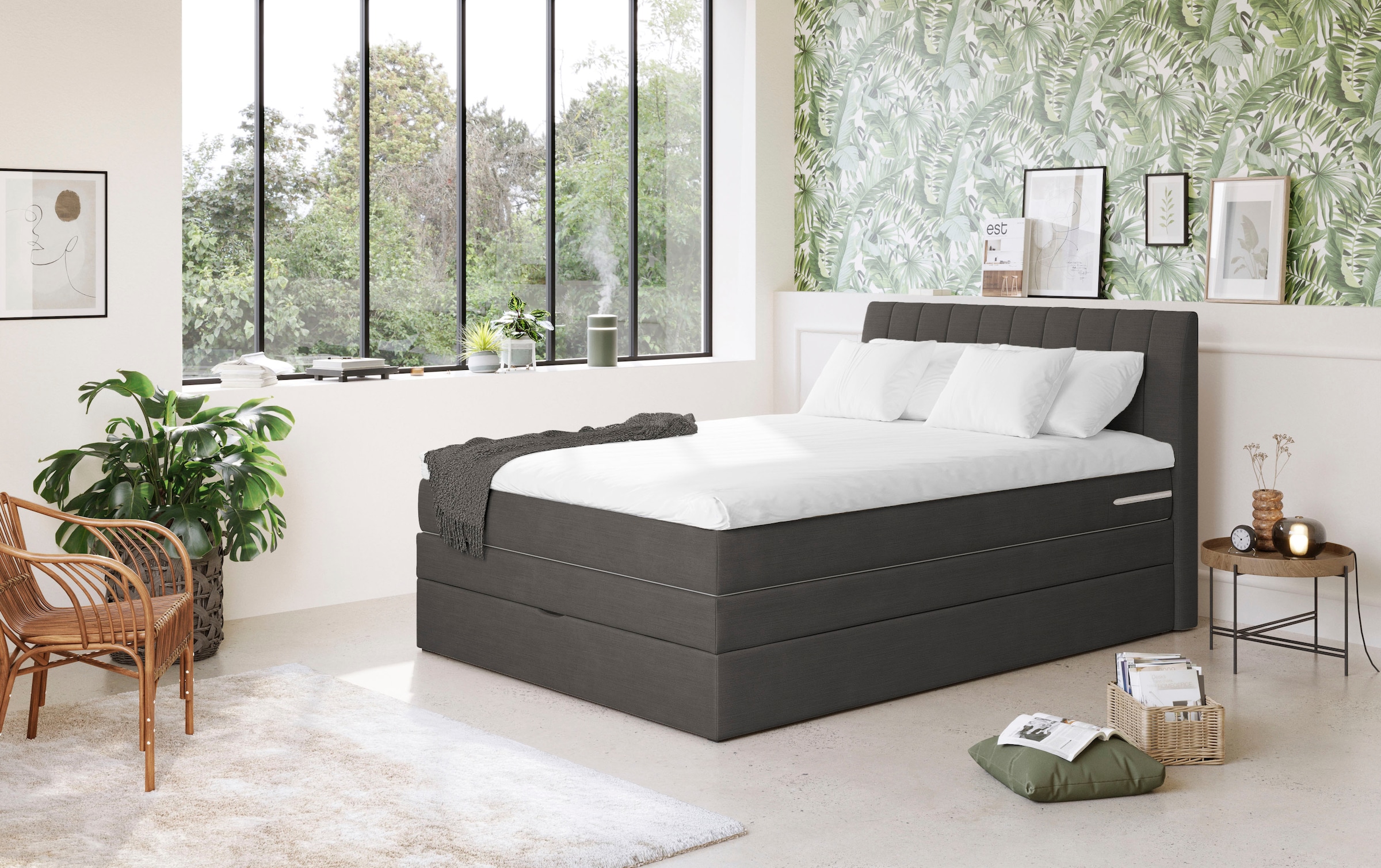 COTTA Boxspringbett »Shark inkl. Bettkasten und Topper« erhältlich in den Breiten 140x200cm, 160x200cm und 180x200cm