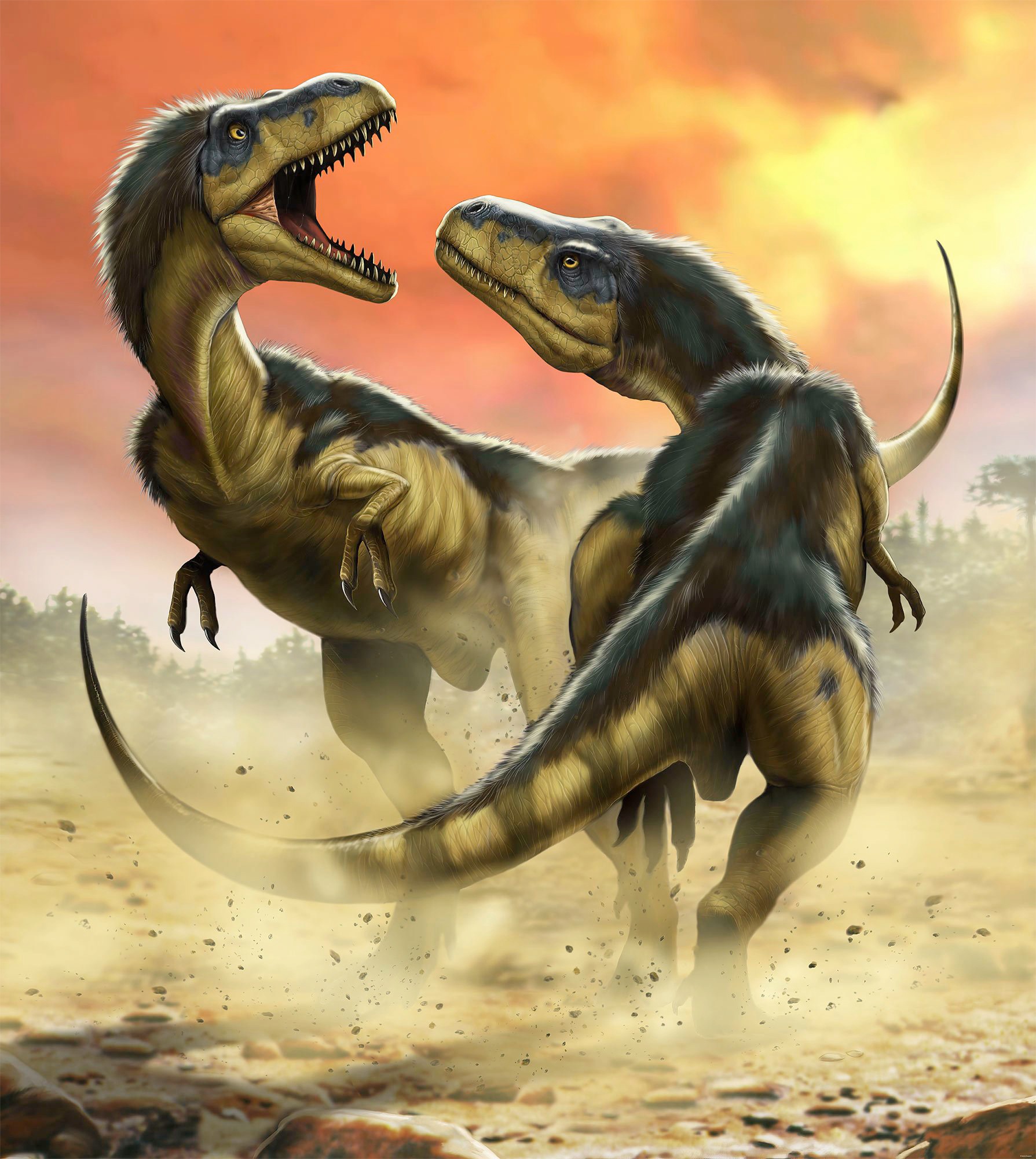 Image of Komar Fototapete »Albertosauruses Fight«, bedruckt-Comic-Retro-mehrfarbig, BxH: 250x280 cm bei Ackermann Versand Schweiz