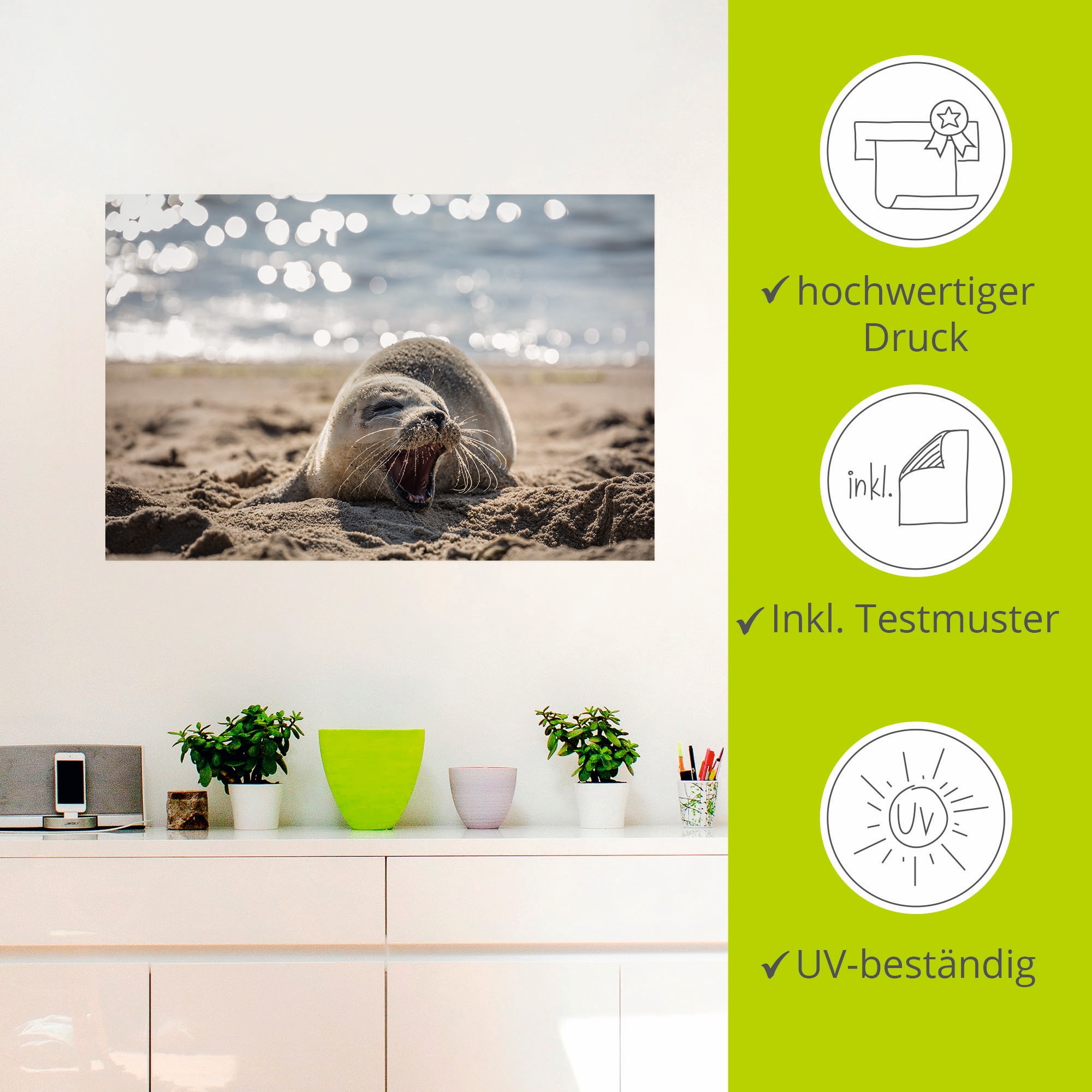 Artland Wandbild »Baby-Robbe am Strand von List, Sylt«, Robben, (1 St.), als Poster, Wandaufkleber in verschied. Grössen
