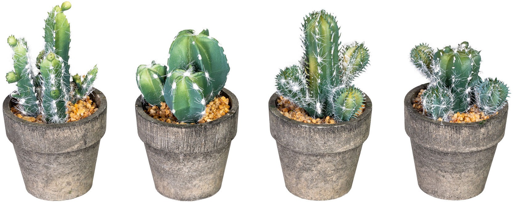 Image of my home Kunstkaktus »Marian«, (4 St.), im Paperpot, 4er Set bei Ackermann Versand Schweiz