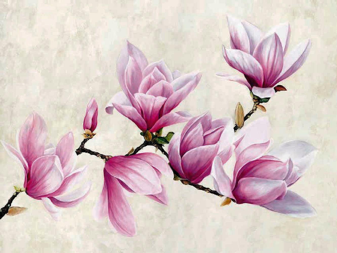 Image of Home affaire Deco-Panel »LUCA VILLA / Ramo di Magnolia«, 80/60 cm bei Ackermann Versand Schweiz