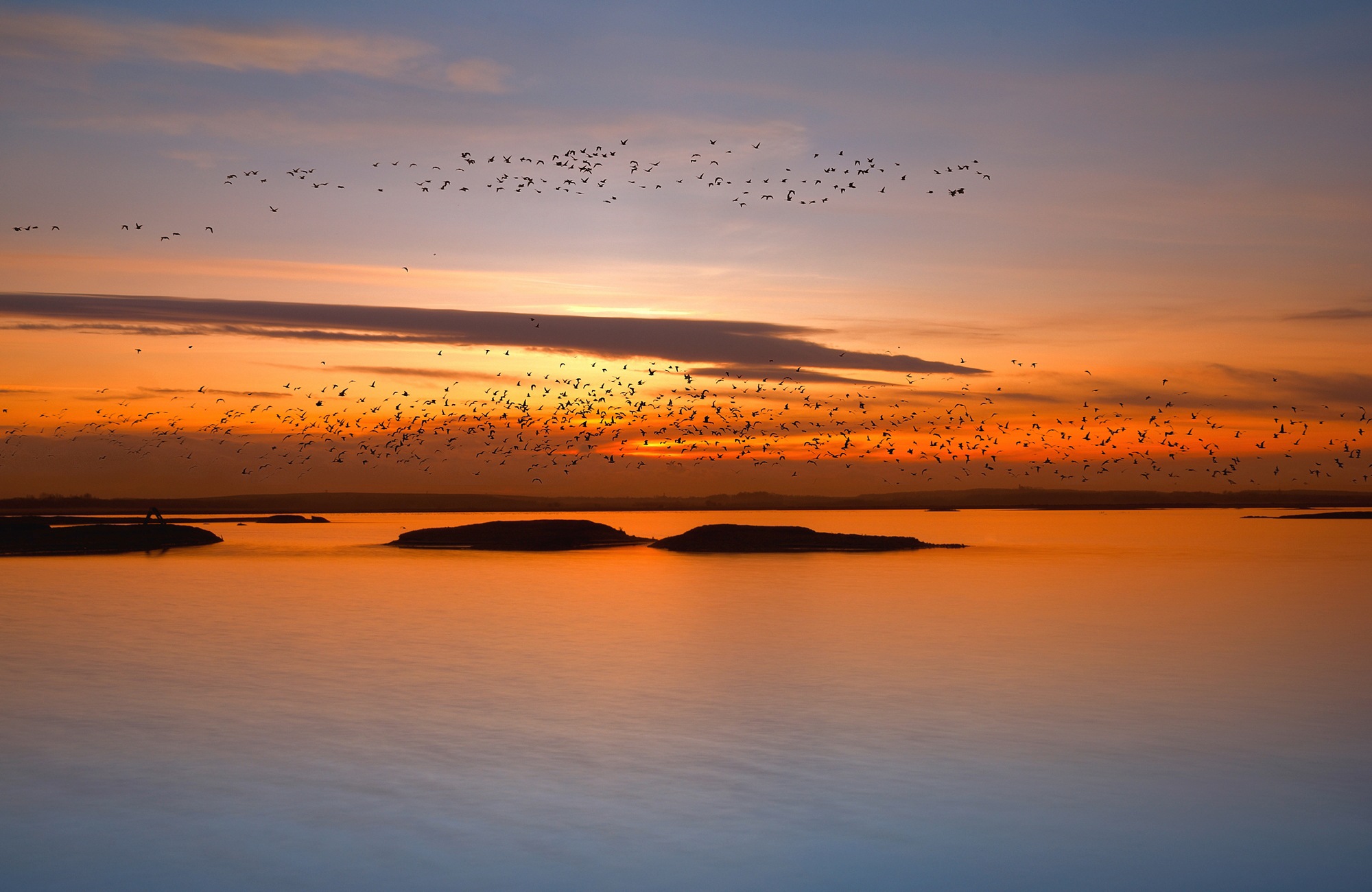 Papermoon Fototapete »Photo-Art  RAYMOND HOFFMANN, FJORDE NACHT LICHTER«