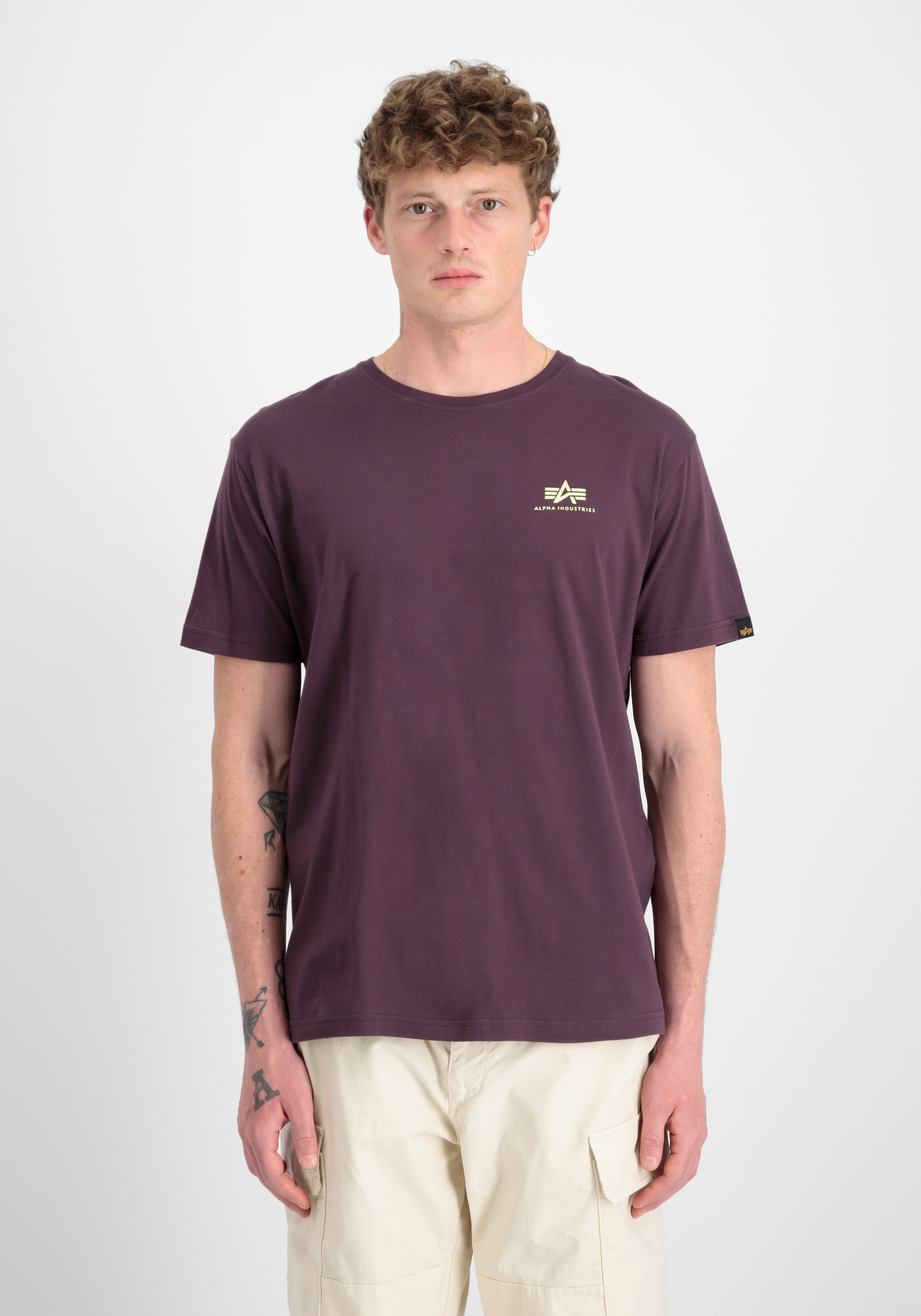 Alpha Industries T-Shirt »Backprint T-Shirt«