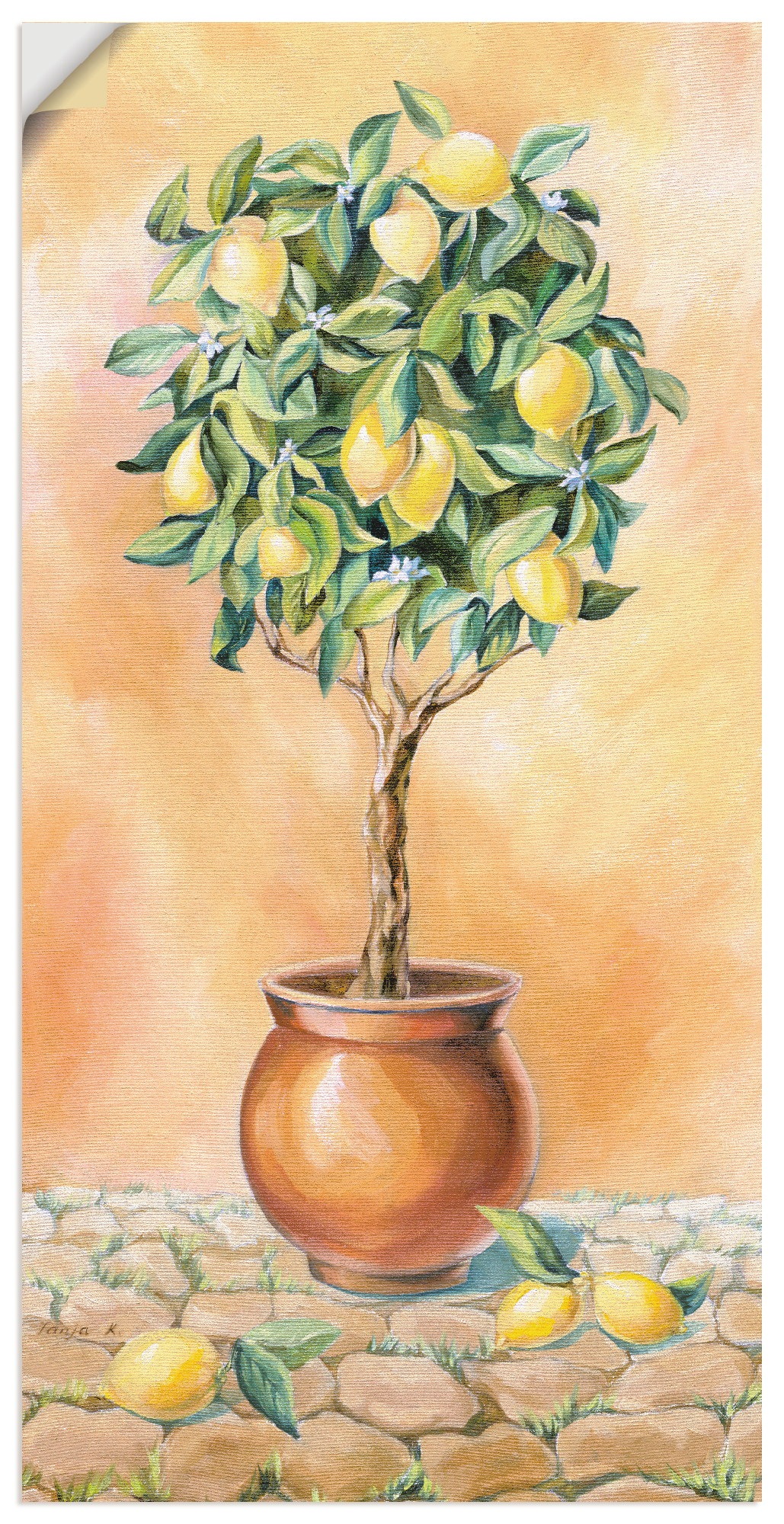 Image of Artland Wandbild »Zitronenbaum I«, Pflanzen, (1 St.), in vielen Grössen & Produktarten - Alubild / Outdoorbild für den Aussenbereich, Leinwandbild, Poster, Wandaufkleber / Wandtattoo auch für Badezimmer geeignet bei Ackermann Versand Schweiz