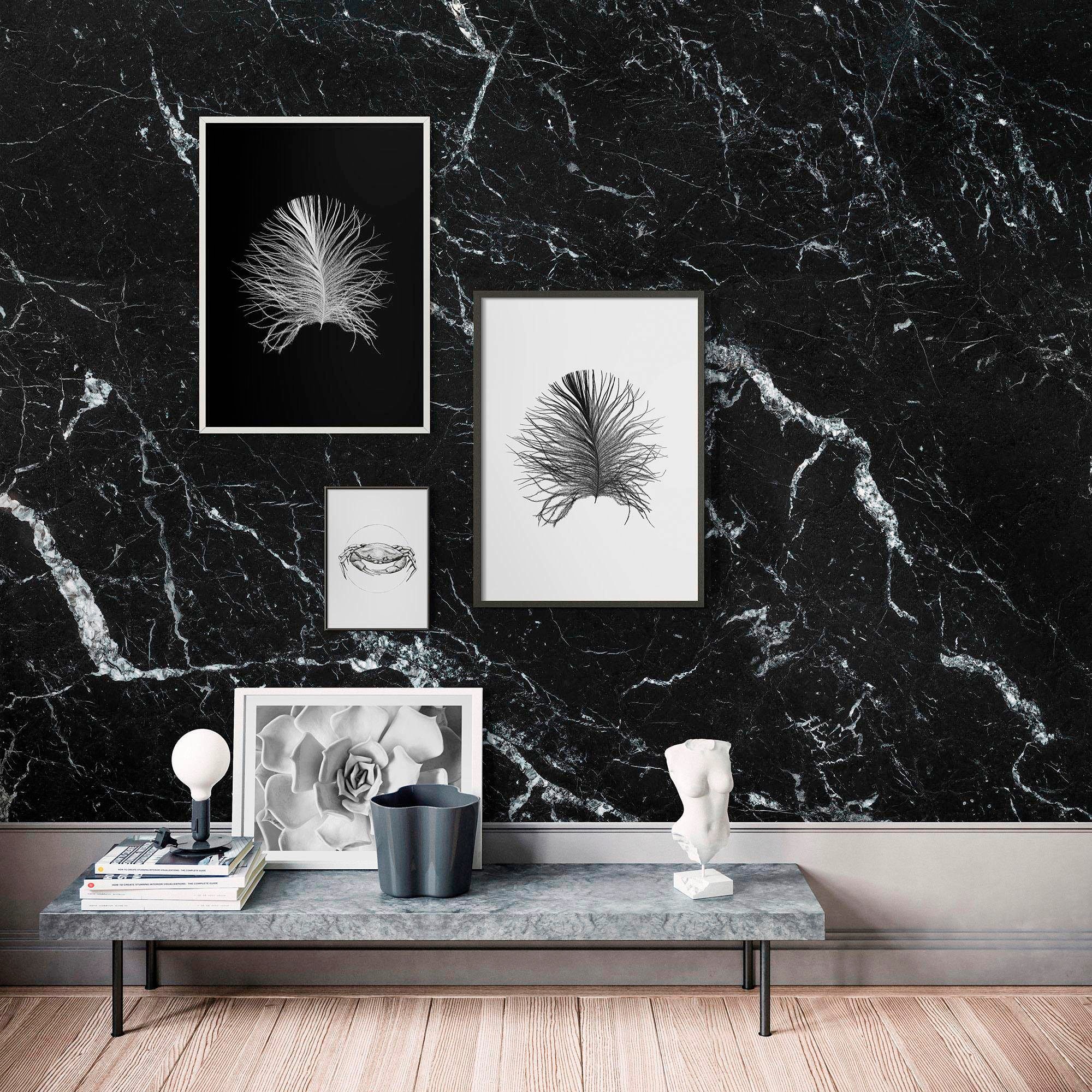 Image of Komar Bild "Feather Black" Federn 1 Stk. tlg. Wandbild zur Dekoration - ohne Rahmen