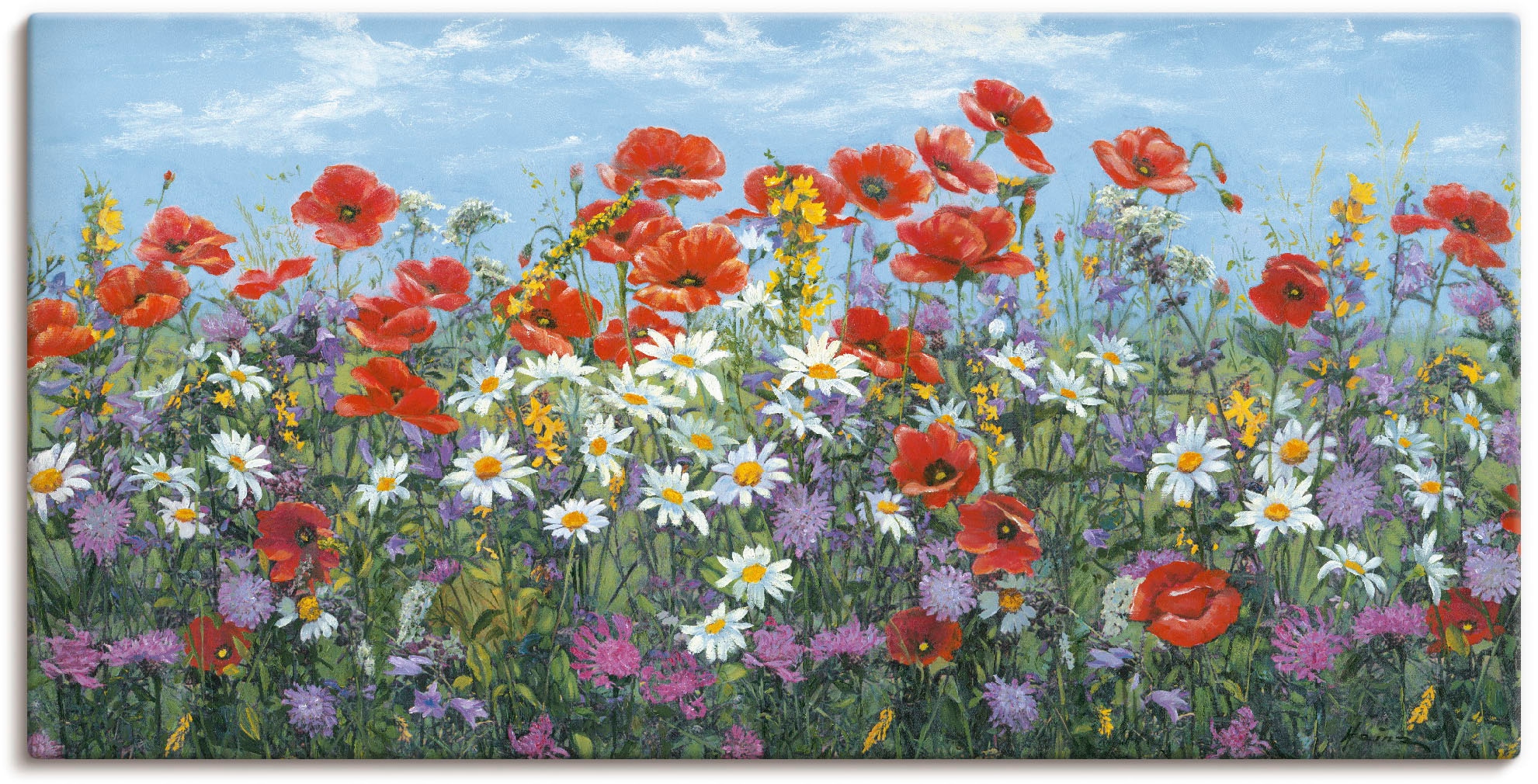 Image of Artland Leinwandbild "Almwiese" Blumenwiese 1 Stk. tlg. auf Holzrahmen gespannt