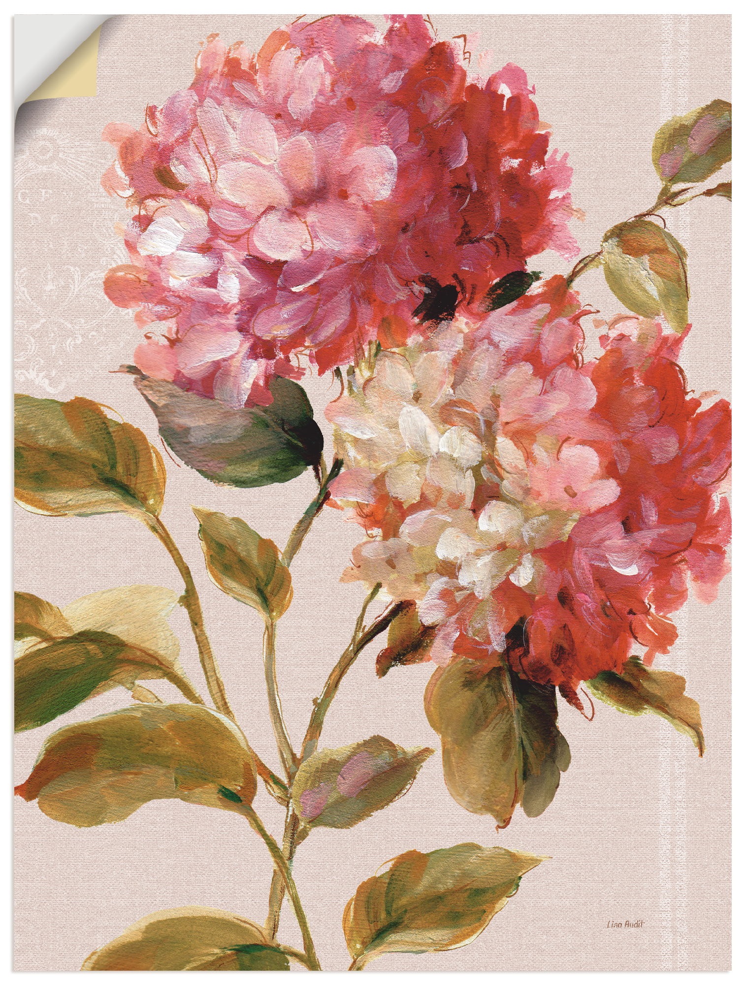 Image of Artland Wandbild »Harmonische Hortensien«, Blumen, (1 St.), in vielen Grössen & Produktarten -Leinwandbild, Poster, Wandaufkleber / Wandtattoo auch für Badezimmer geeignet bei Ackermann Versand Schweiz