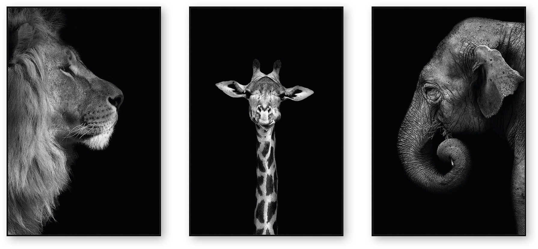 Image of RAPHAELLO Bild »Afrika 3er Set«, (3 St.), Kunstdruck, Collage bei Ackermann Versand Schweiz