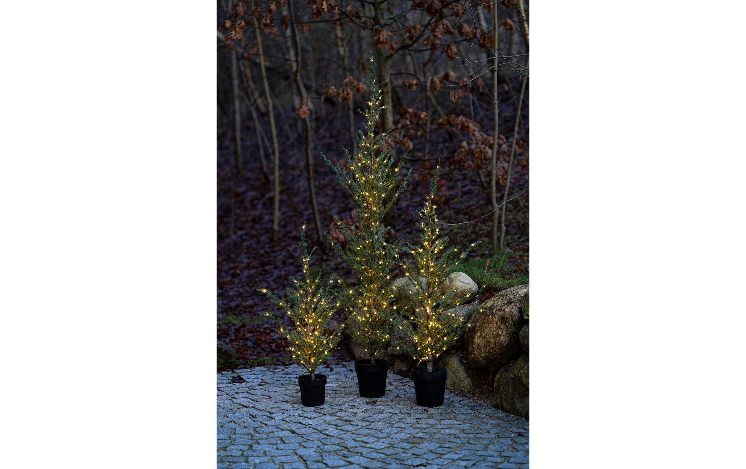 Sirius Künstlicher Weihnachtsbaum »LED Baum Milas, 100 LED«