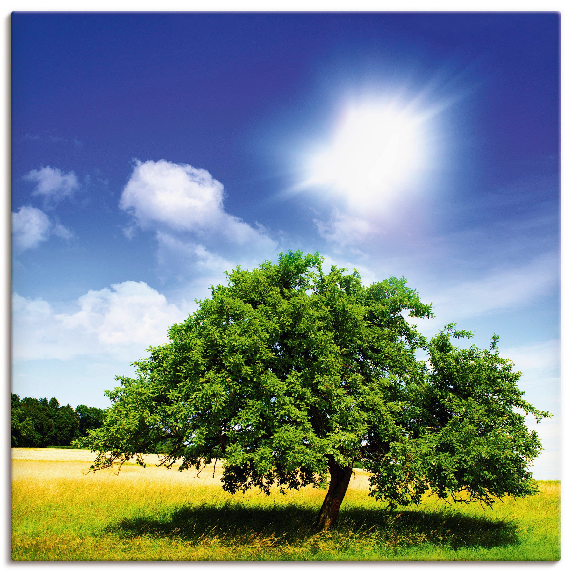 Artland Wandbild »Baum des Lebens«, Bäume, (1 St.), als Leinwandbild, Poster in verschied. Grössen