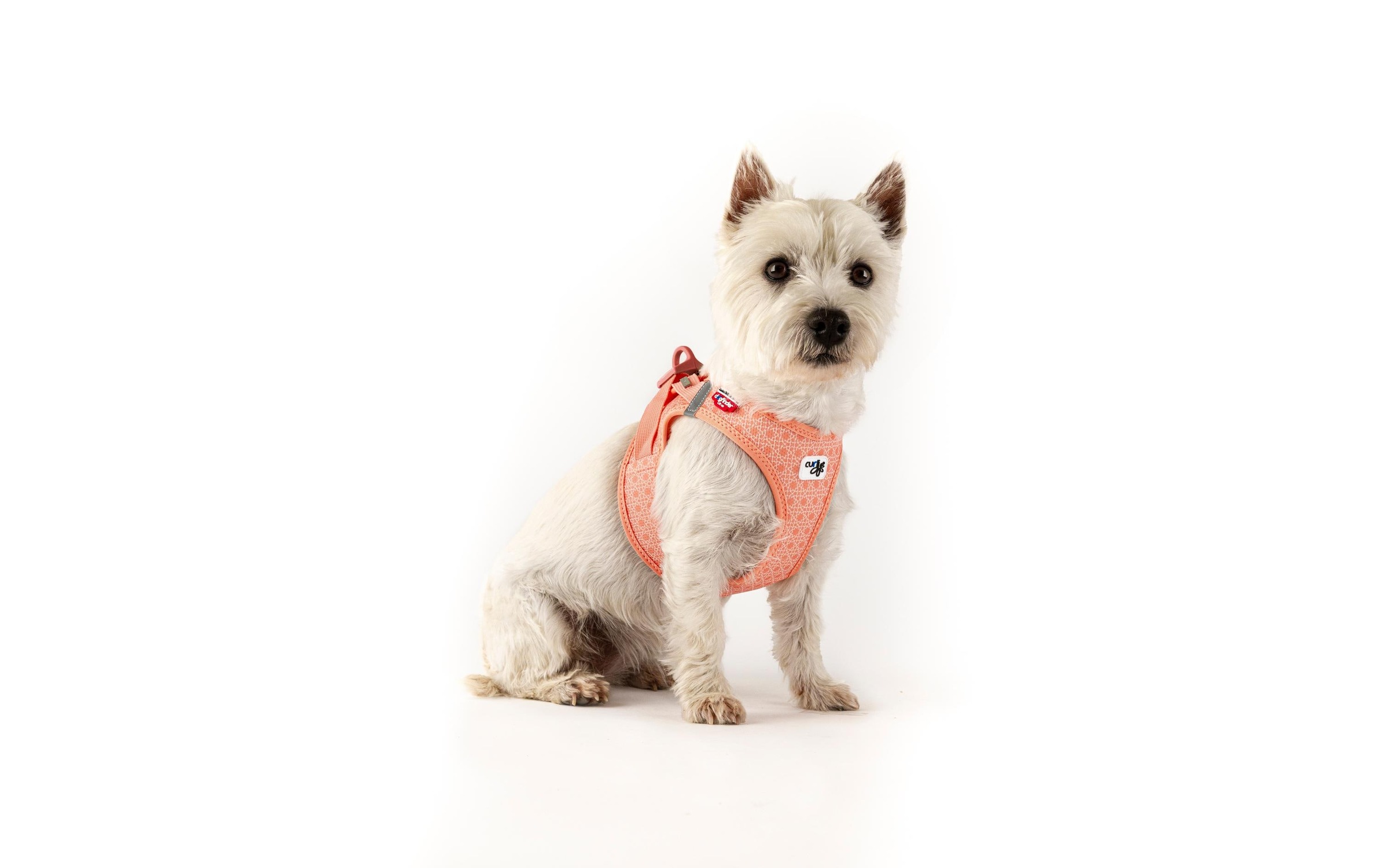 Curli Hunde-Geschirr »Vest Air-Mesh XS«, Polyester, Hunderasse: Yorkshire Terrier