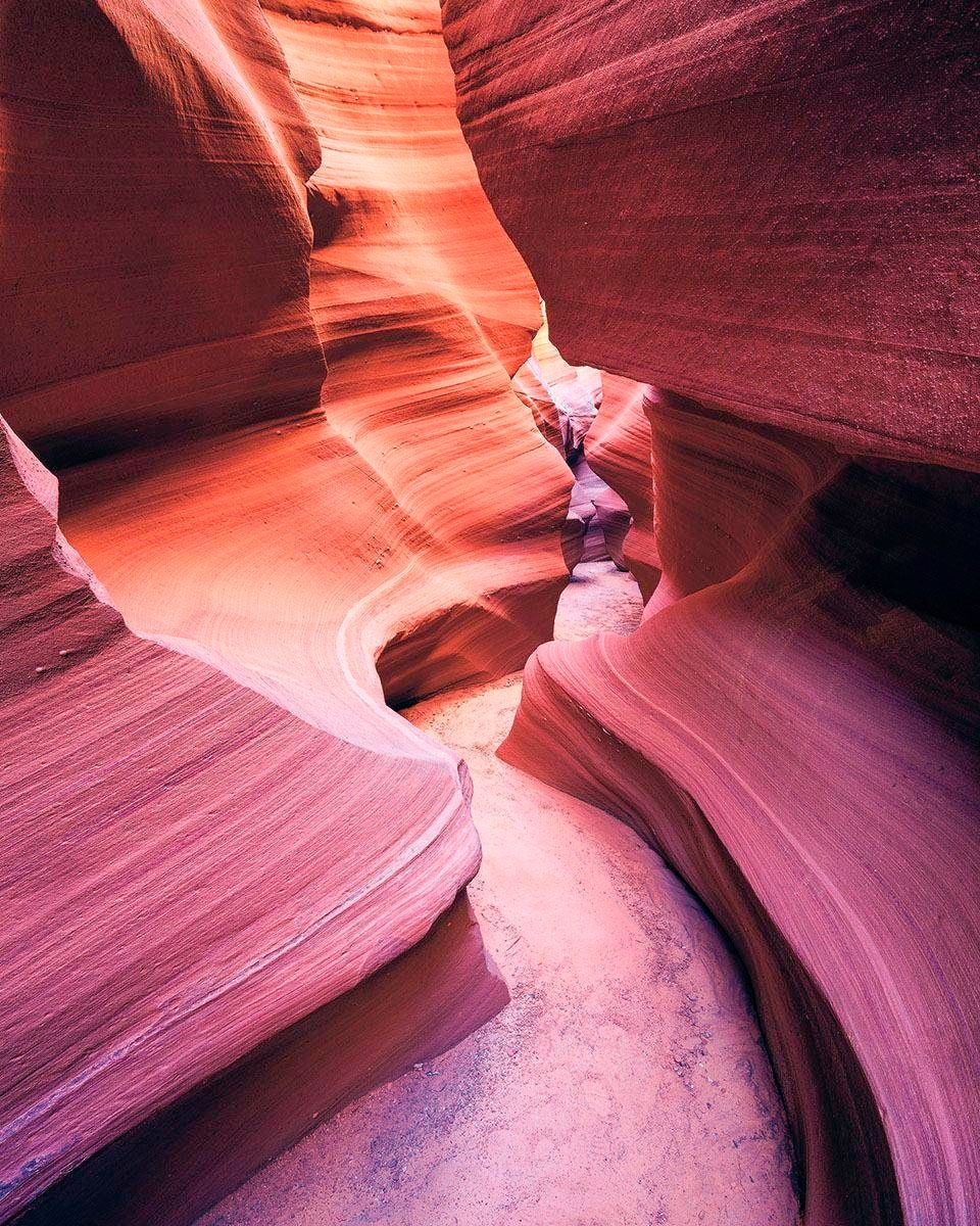 Image of Komar Vliestapete »Hefele Lost in color«, naturalistisch bei Ackermann Versand Schweiz