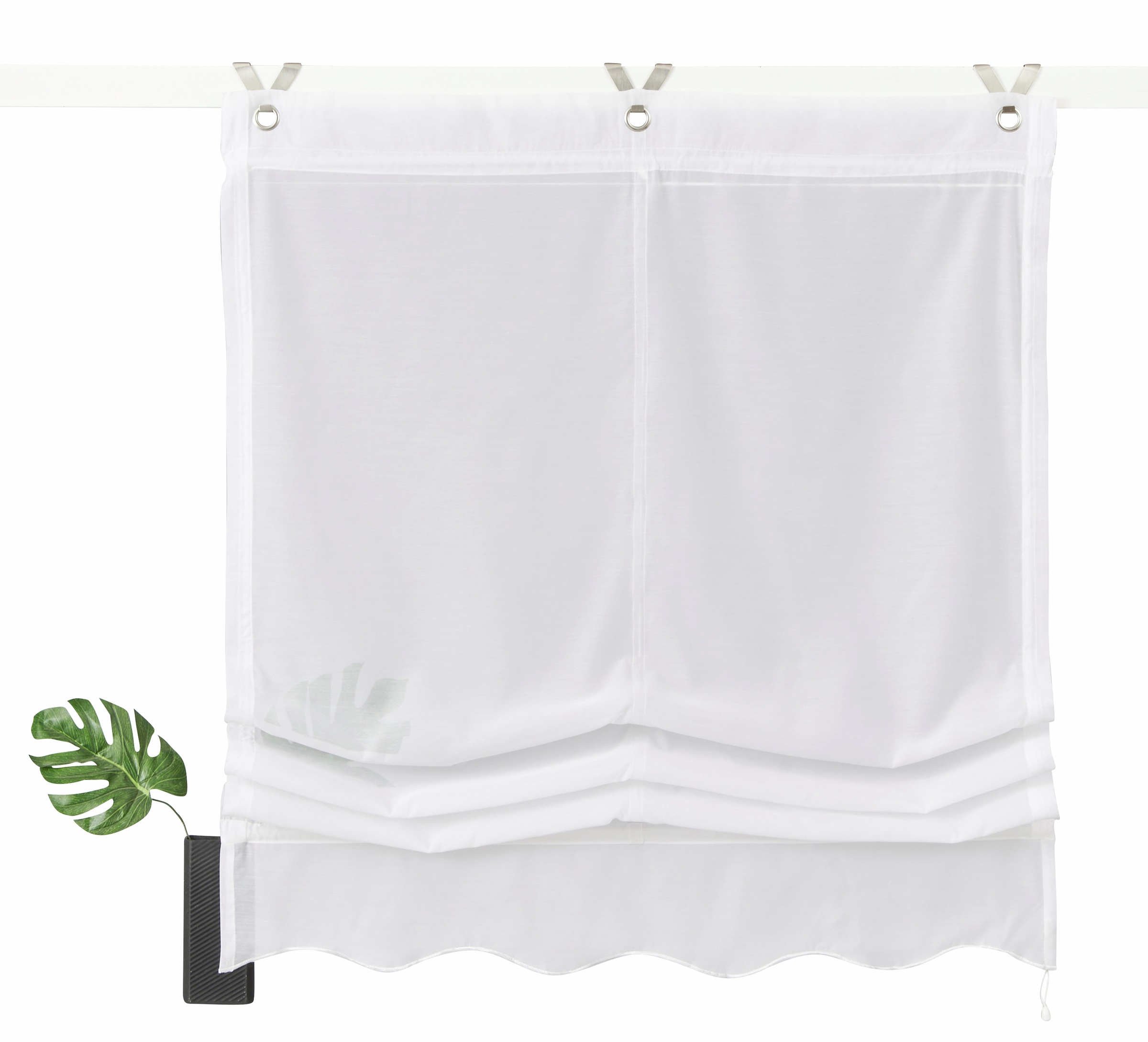 Image of my home Raffrollo »Carpi«, mit Hakenaufhängung, ohne Bohren, Transparent, Voile, Polyester bei Ackermann Versand Schweiz