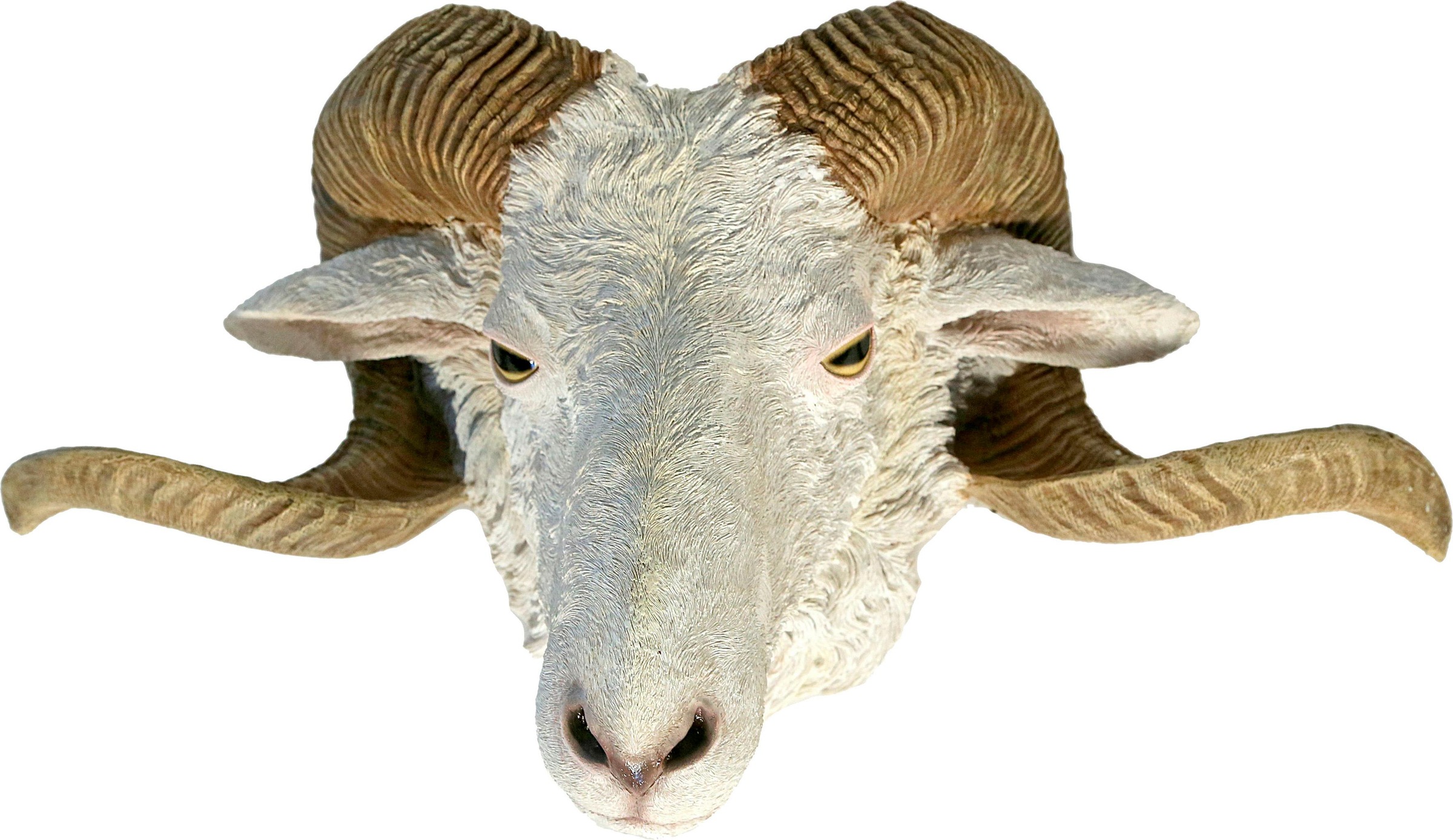 Image of Casa Collection by Jänig Tierfigur, Breite ca. 56 cm bei Ackermann Versand Schweiz