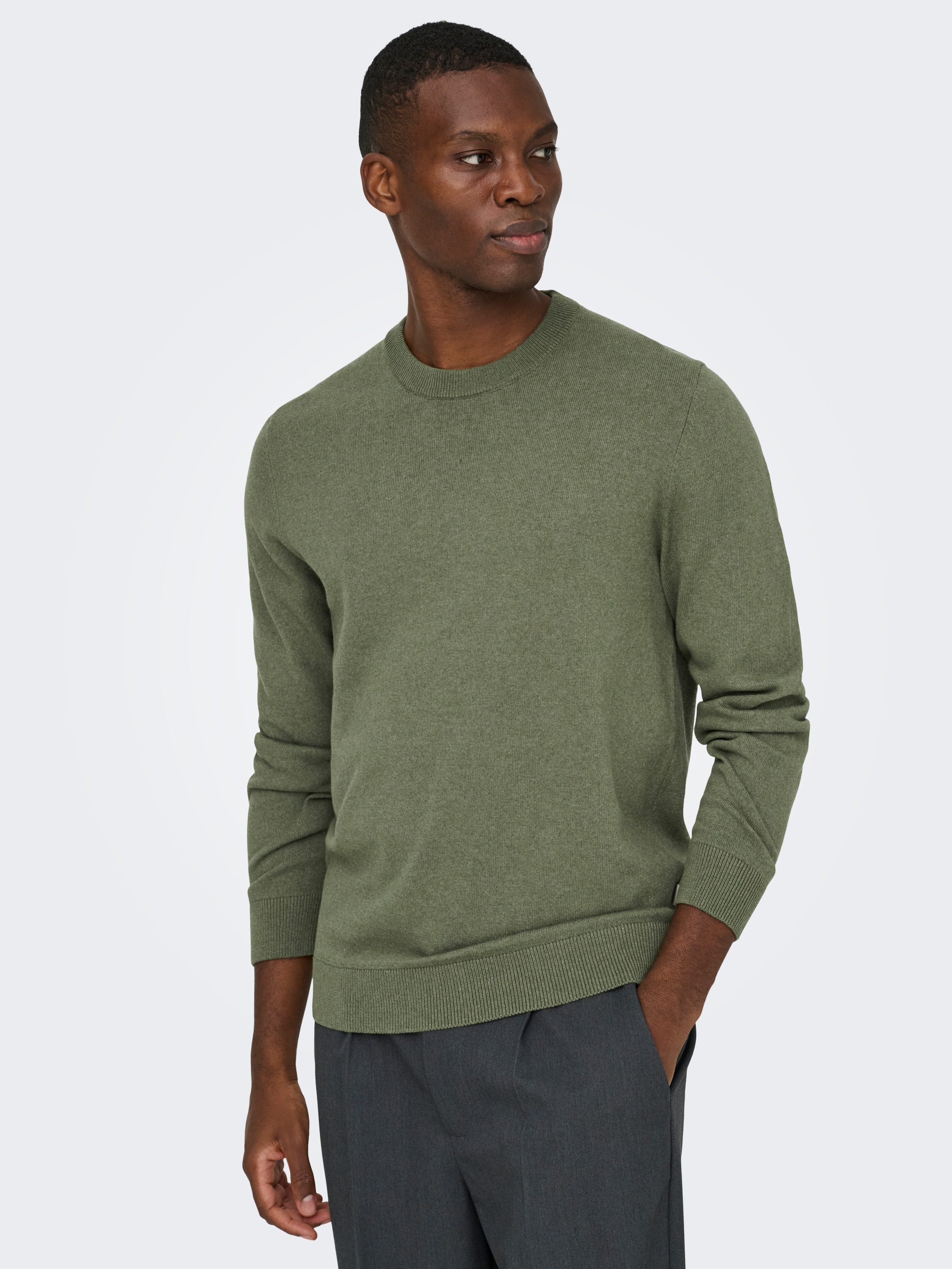 ONLY & SONS Pull à col rond »ONSREX LIFE REG 12 CREW KNIT«