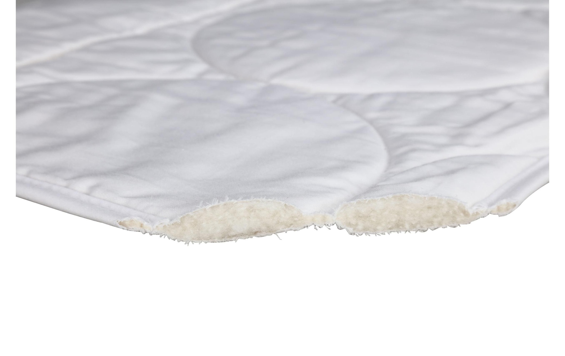 Image of Albis Switzerland Sommerbettdecke "Setanatur" extraleicht 1 Stk. tlg. Leichtes Wildseidenduvet