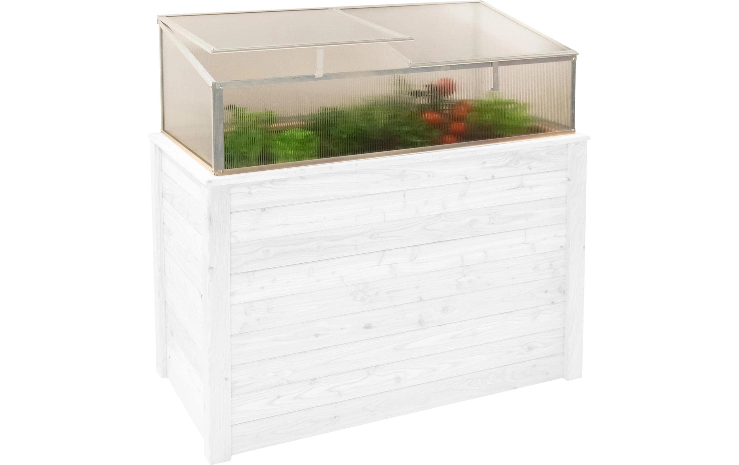 WESTMANN Frühbeet »Genus 130« BxTxH: 125x62x41 cm