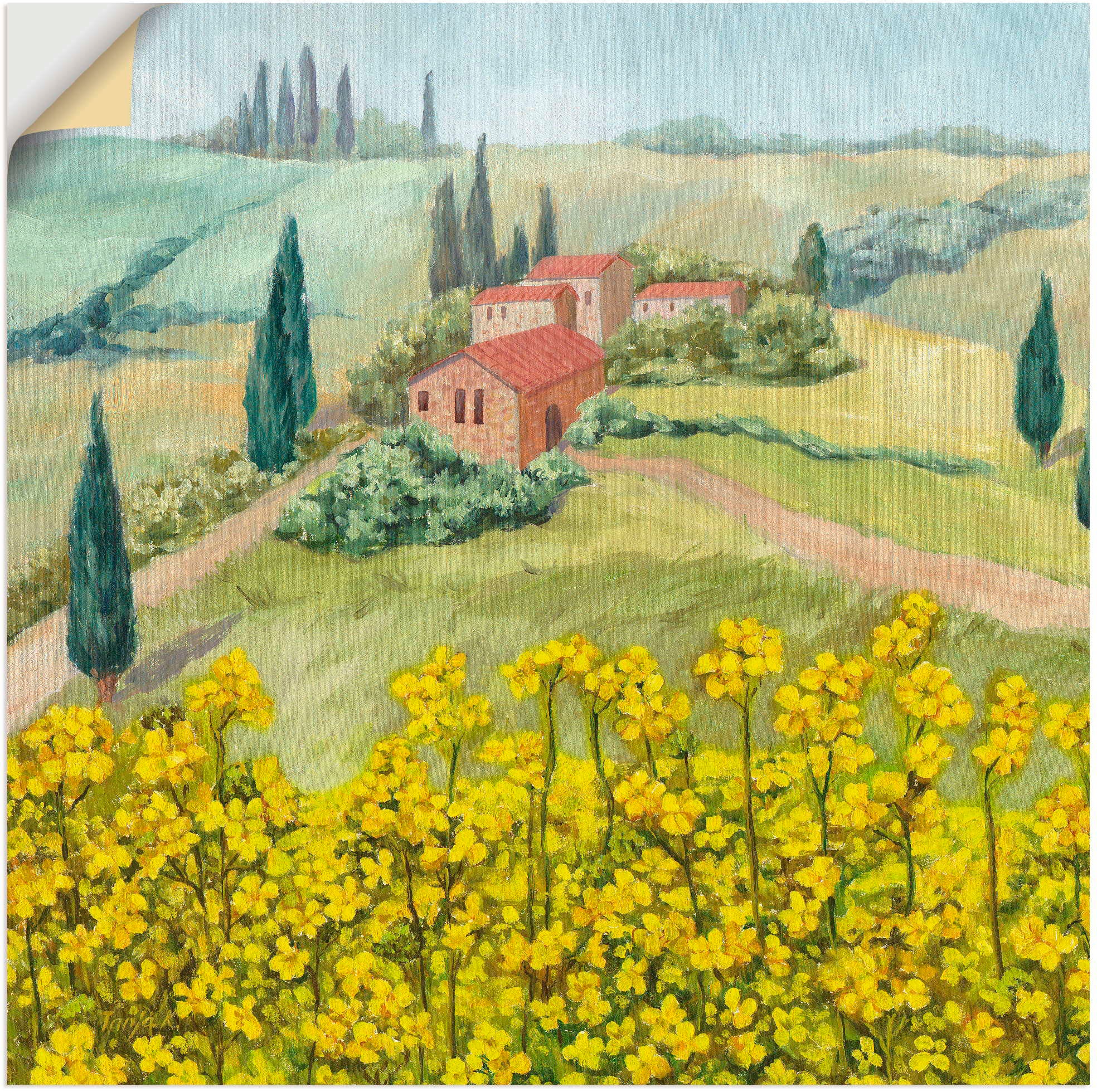 Image of Artland Wandbild »Rapsfeld«, Europa, (1 St.), in vielen Grössen & Produktarten - Alubild / Outdoorbild für den Aussenbereich, Leinwandbild, Poster, Wandaufkleber / Wandtattoo auch für Badezimmer geeignet bei Ackermann Versand Schweiz