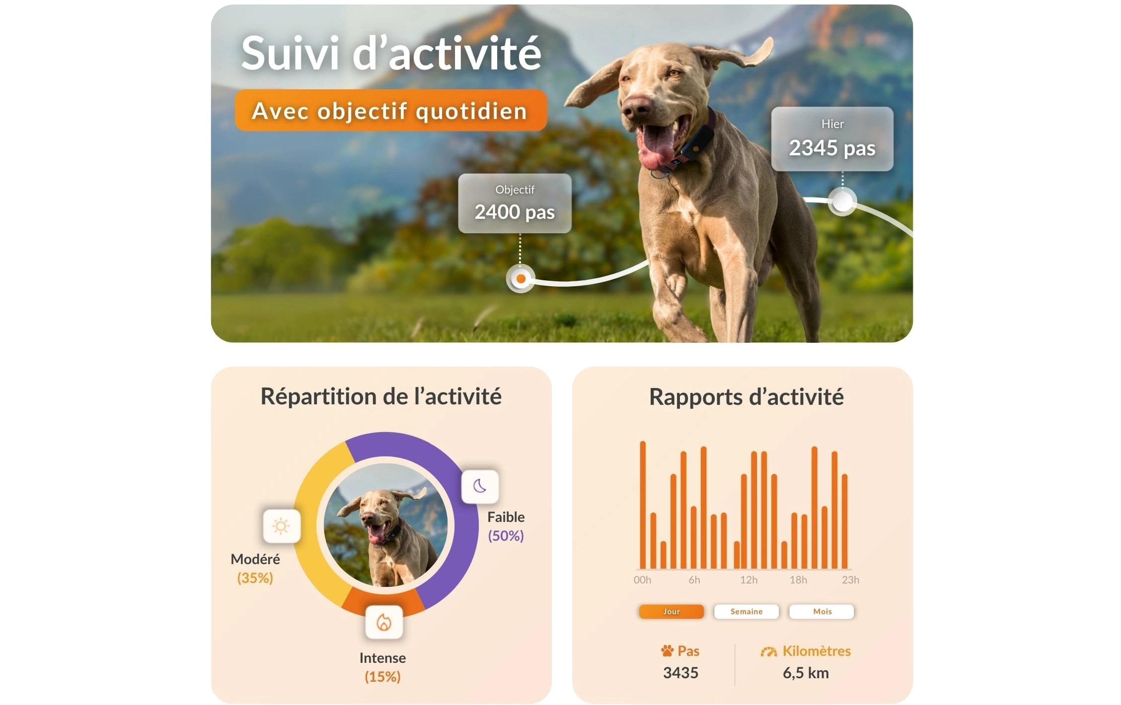   traceur GPS pour chiens »Weenect für Hunde XT mit Halsband«