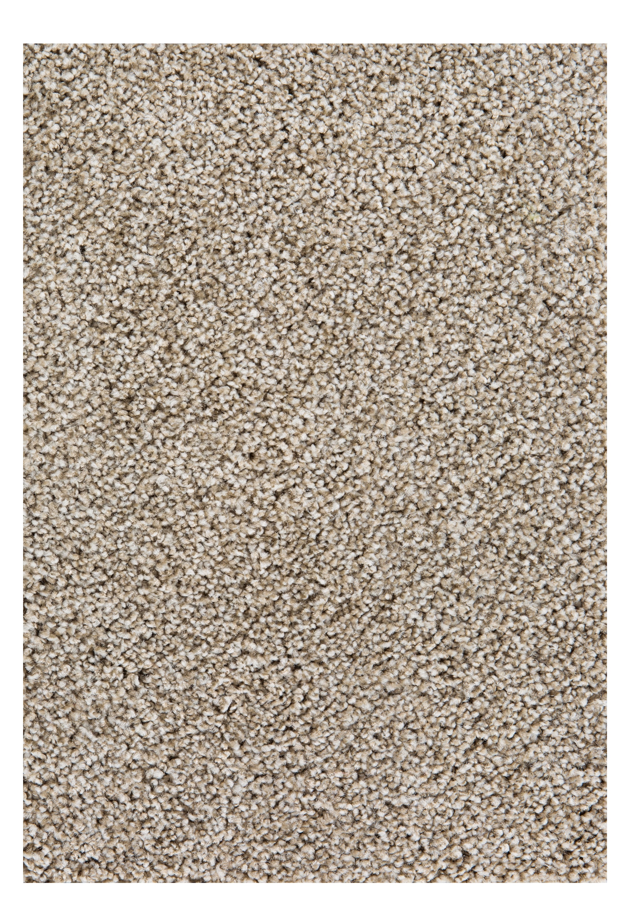 Image of Andiamo Teppichboden »Anne schlammfarben«, rechteckig, 10 mm Höhe, Meterware, Breite 400 cm, antistatisch, schallschluckend, Wohnzimmer bei Ackermann Versand Schweiz