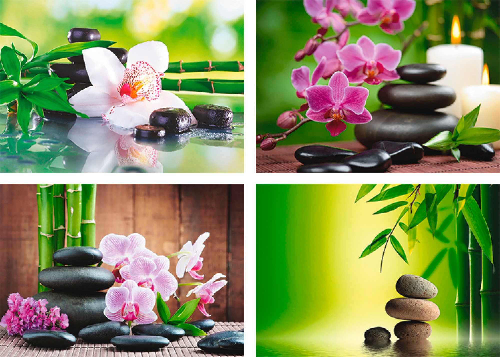 Zen Zen, kaufen (4 Artland Zweige Steine«, Wandbild, St.), Bambus »Spa Poster günstig Bild, Poster, Wandposter