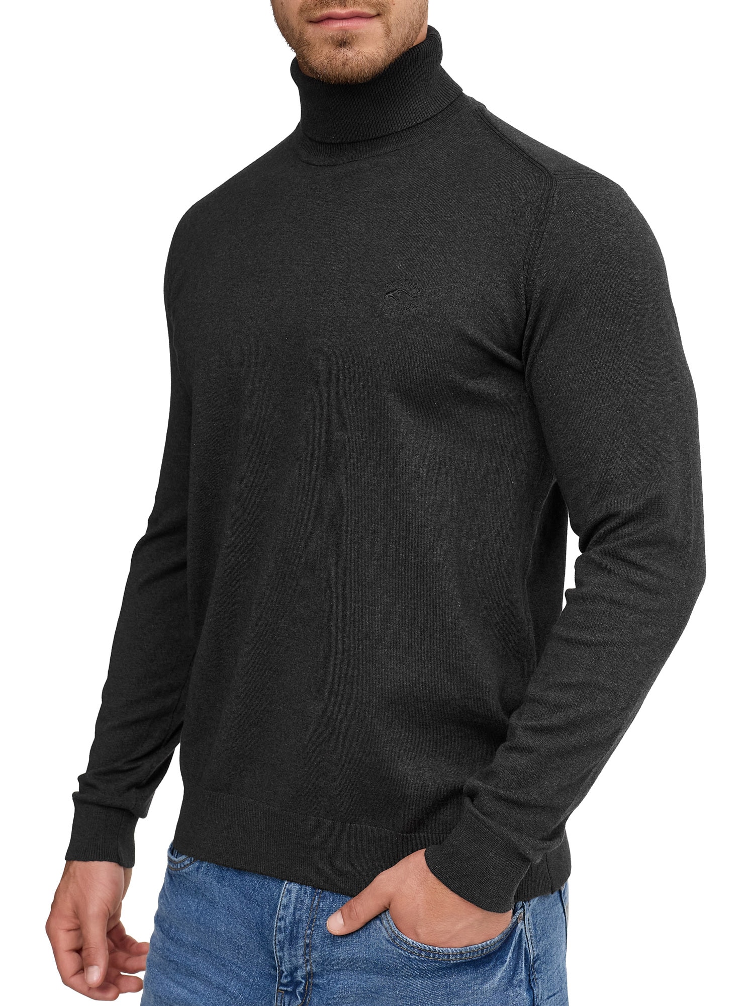 Image of Indicode Rollkragenpullover "Van Paul"