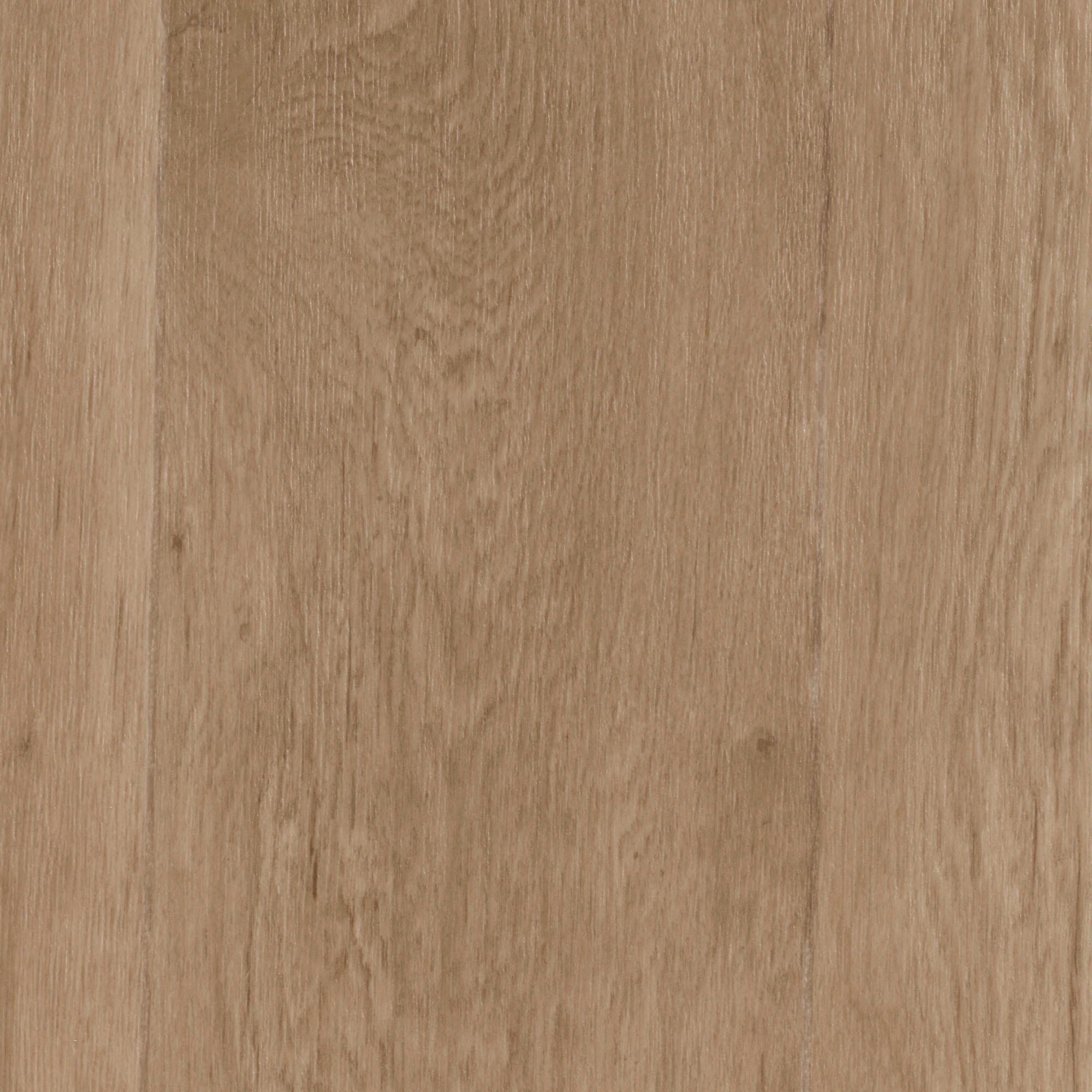 Image of Bodenmeister Vinylboden »PVC Bodenbelag Holzoptik Diele Eiche hell«, Meterware, Breite 200/300/400 cm bei Ackermann Versand Schweiz