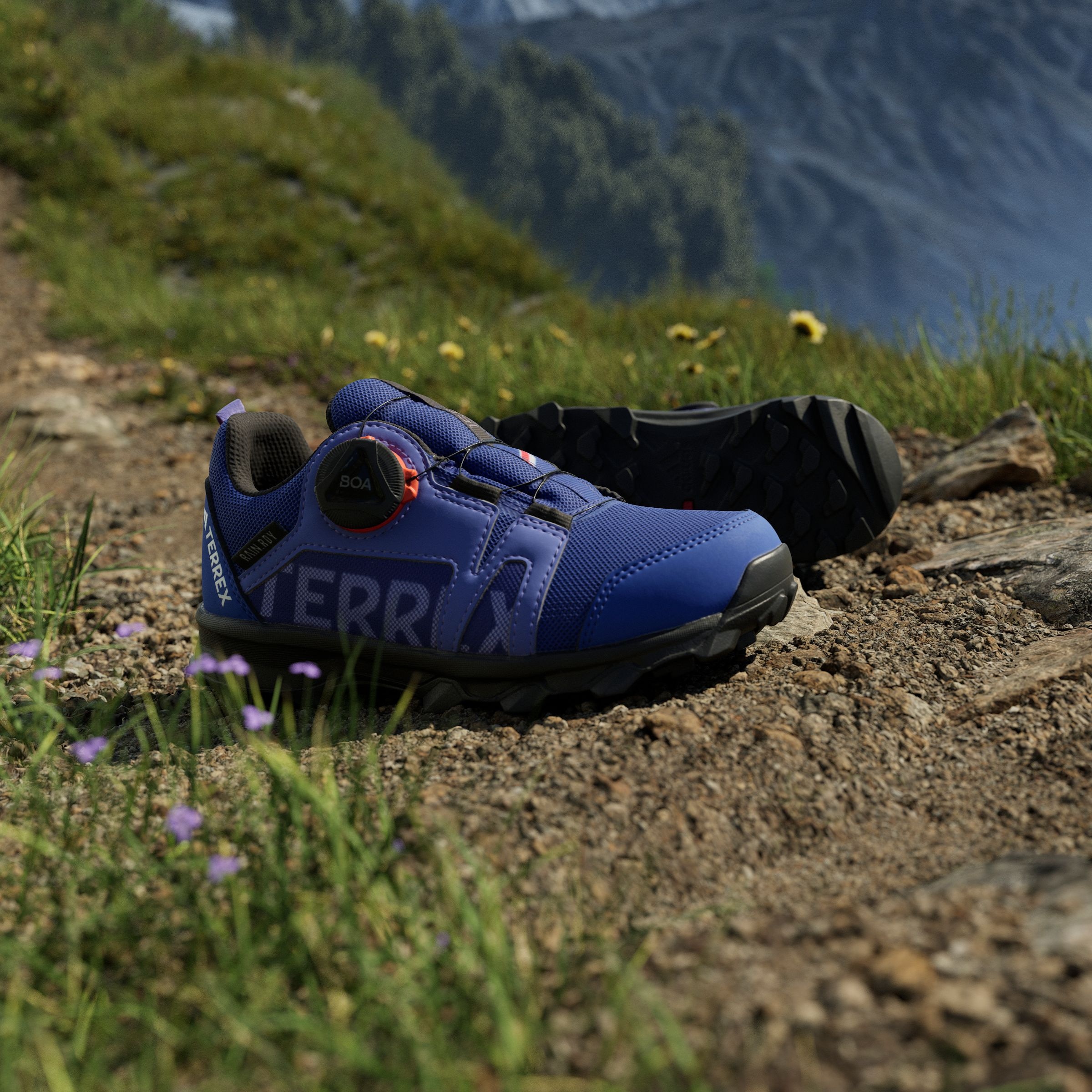 adidas TERREX Trailrunningschuh »AGRAVIC BOA RAIN.RDY TRAILRUNNING«, wasserdicht
