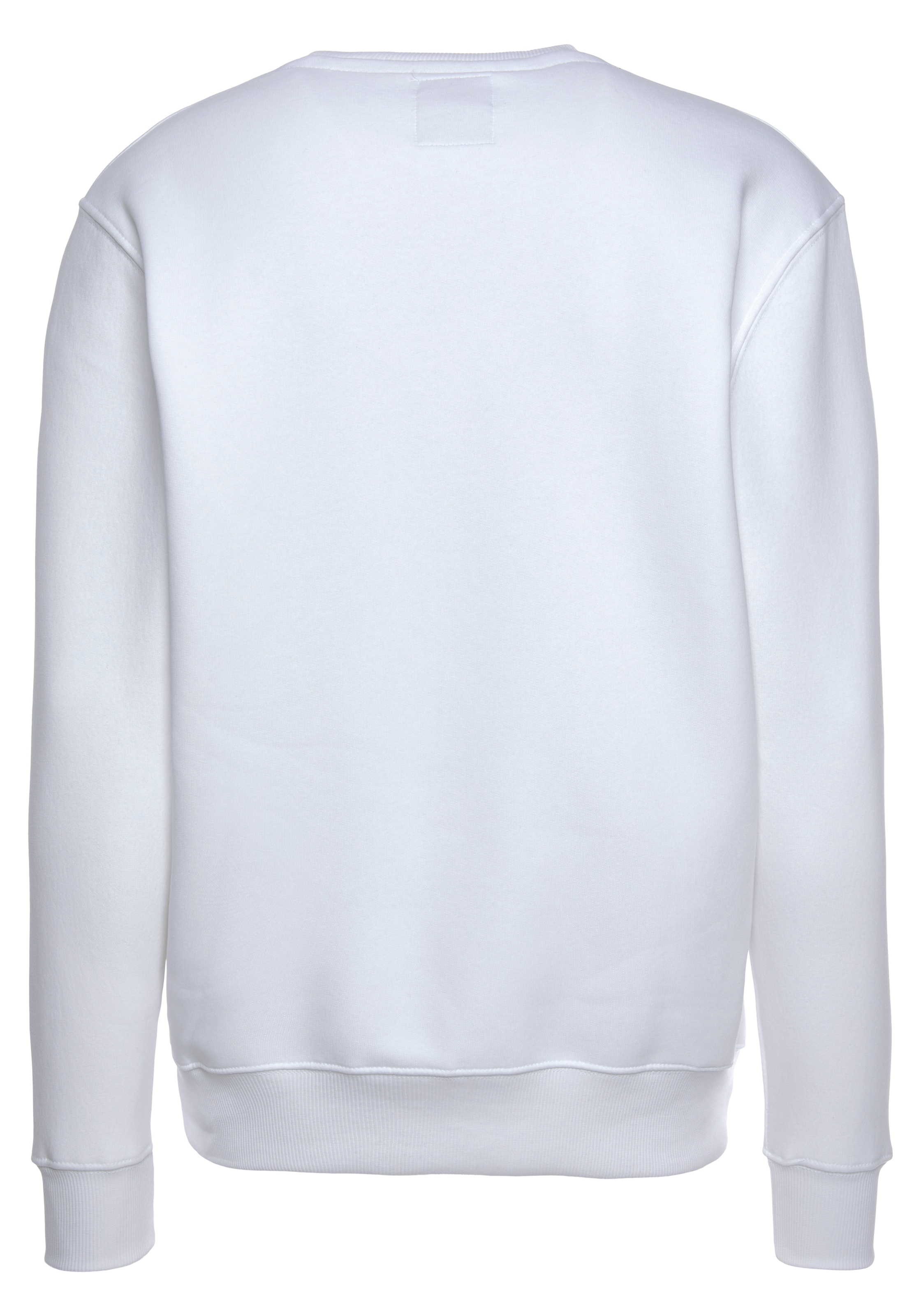 Alpha Industries Sweatshirt »Basic Sweater small Logo«