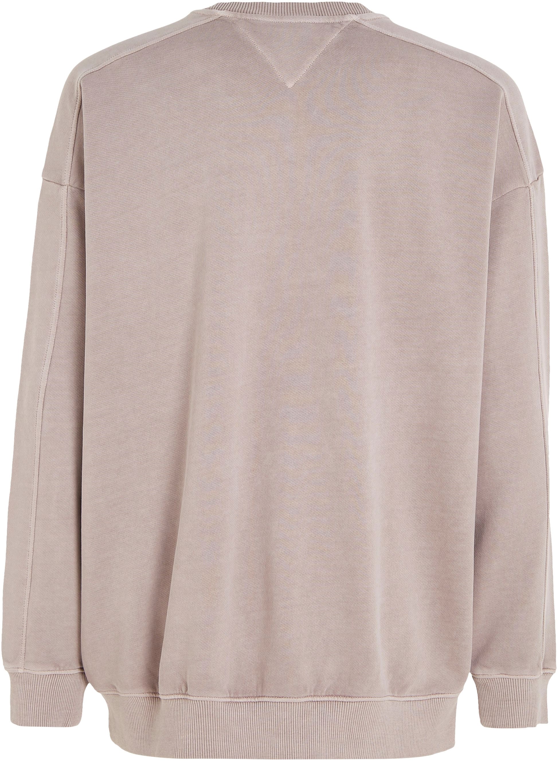 Tommy Jeans Sweater »TJM SKATER TIMELESS TOMMY CREW«