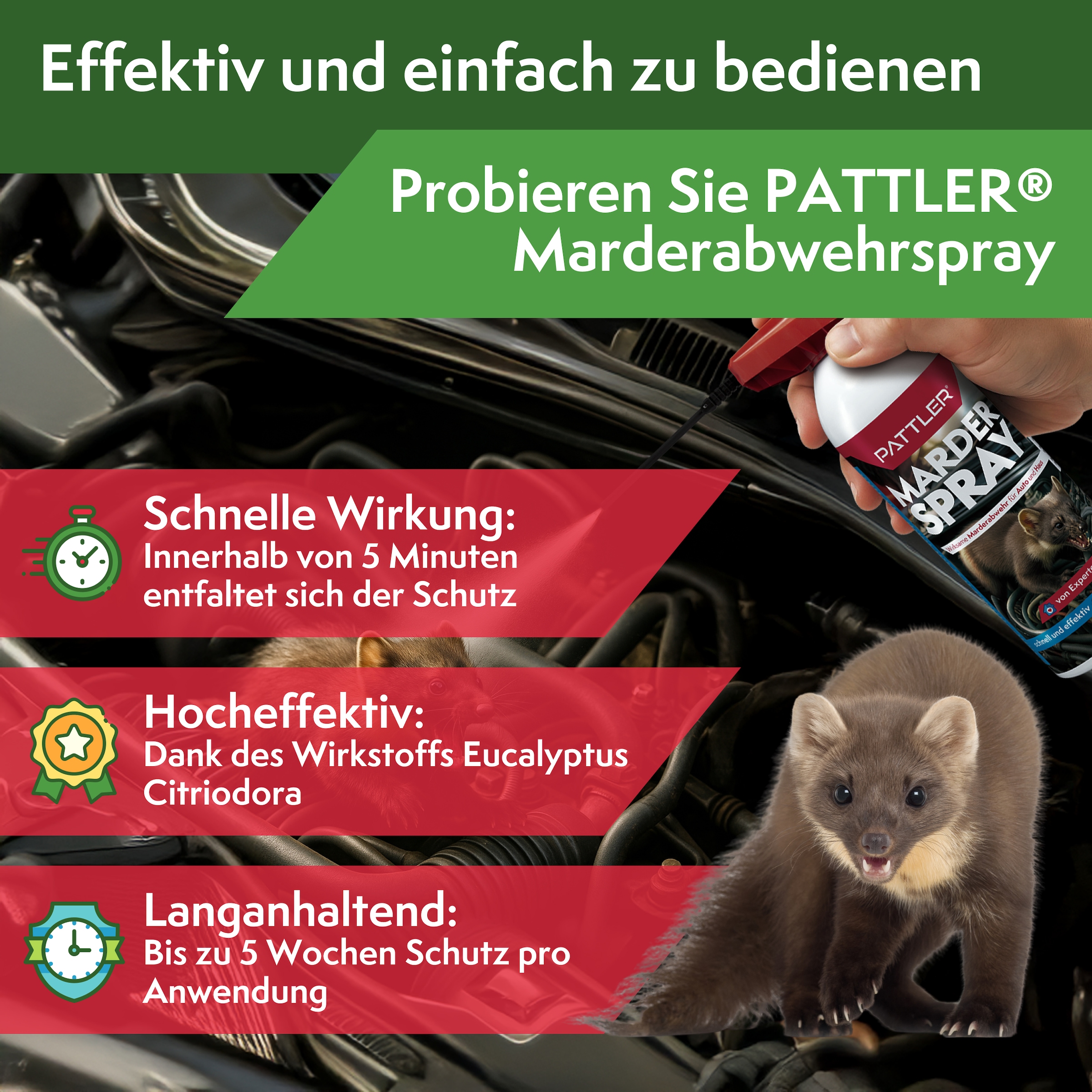 Pattler Spray anti-fouines »Hochwirksam mit Sofortwirkung« 400 ml