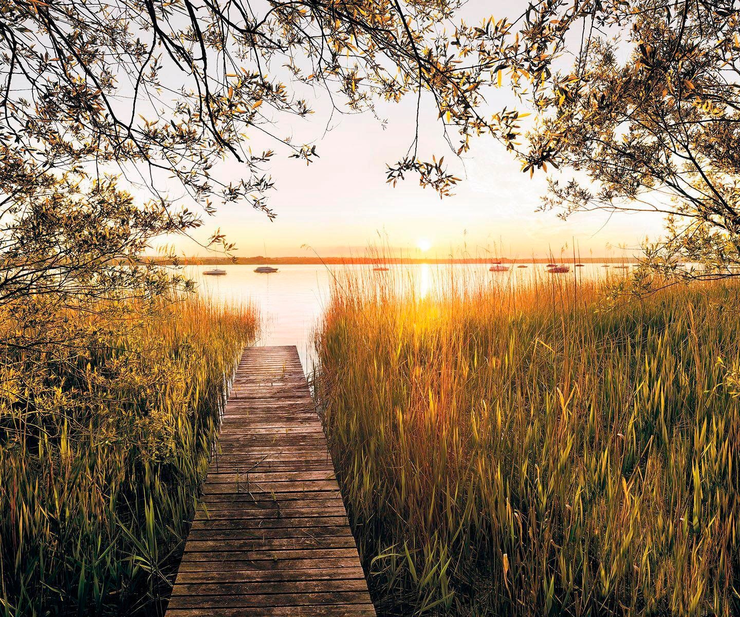 Image of Komar Vliestapete "Digitaldruck Vlies - Lakeside - Grösse 300 x 250 cm" bedruckt glatt Wohnzimmer, Schlafzimmer