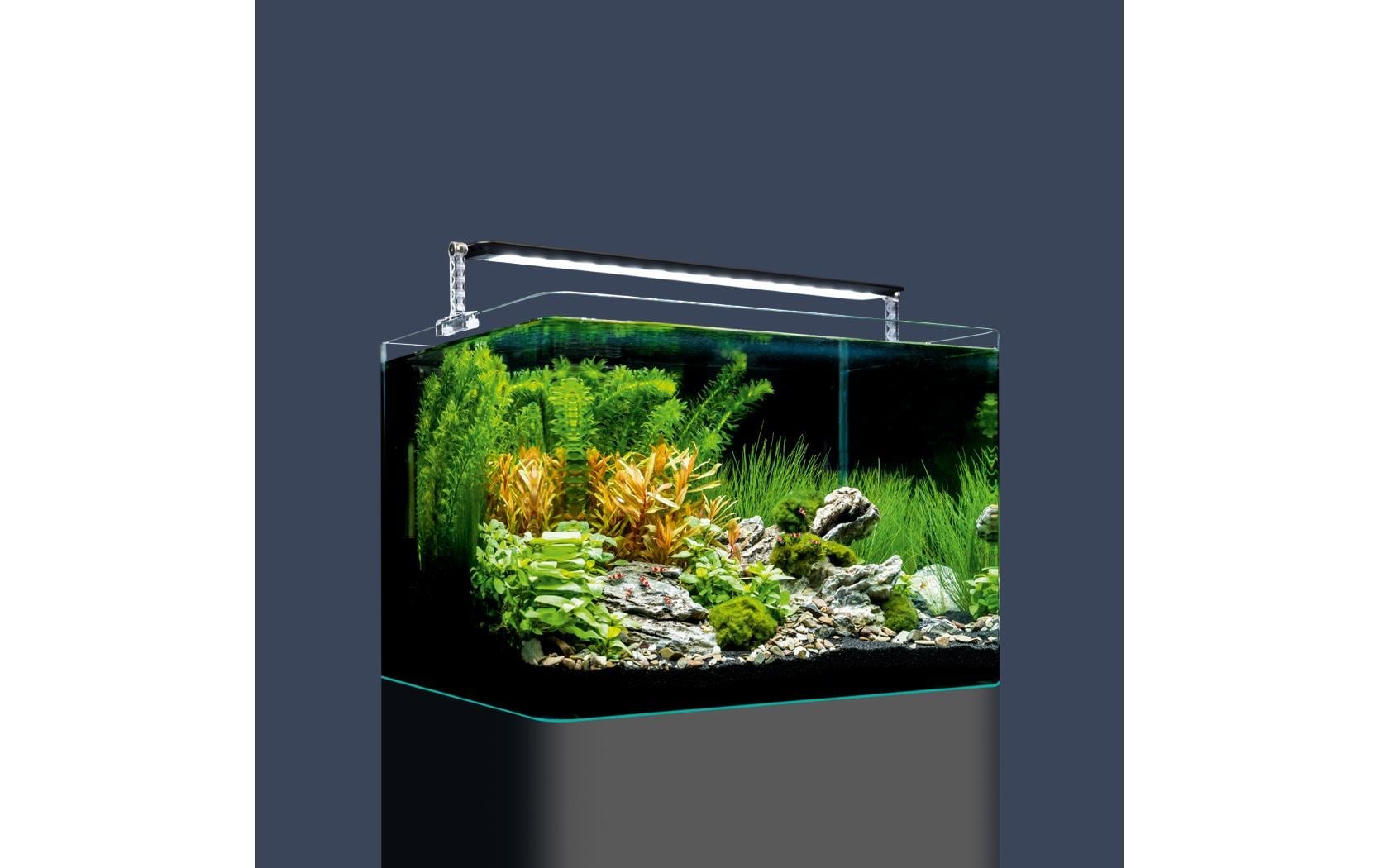DENNERLE Aquarien-Set »Nano Tank Plant Pro, 35 l«
