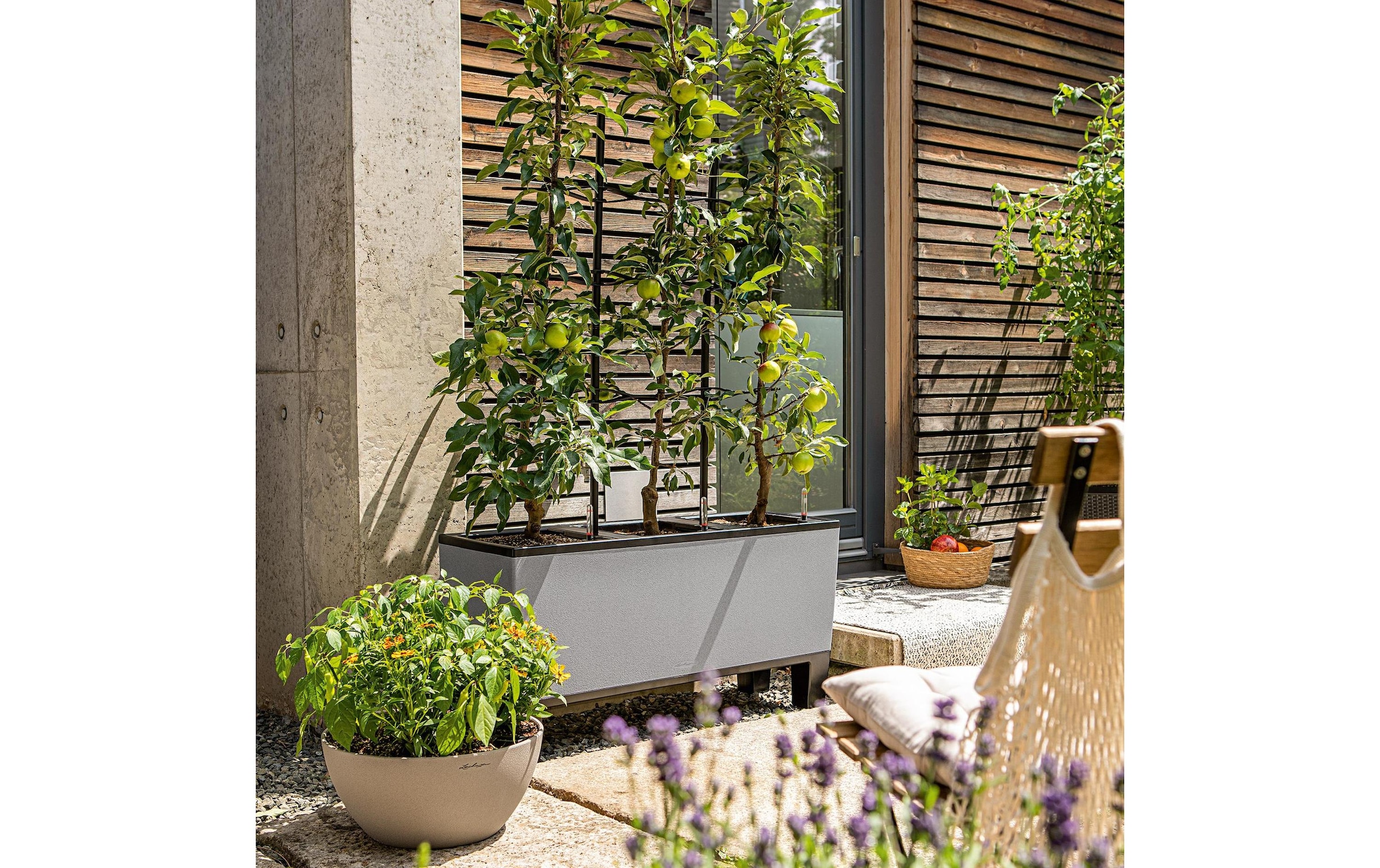   Bac à fleurs »Lechuza TRIO Stone 30«