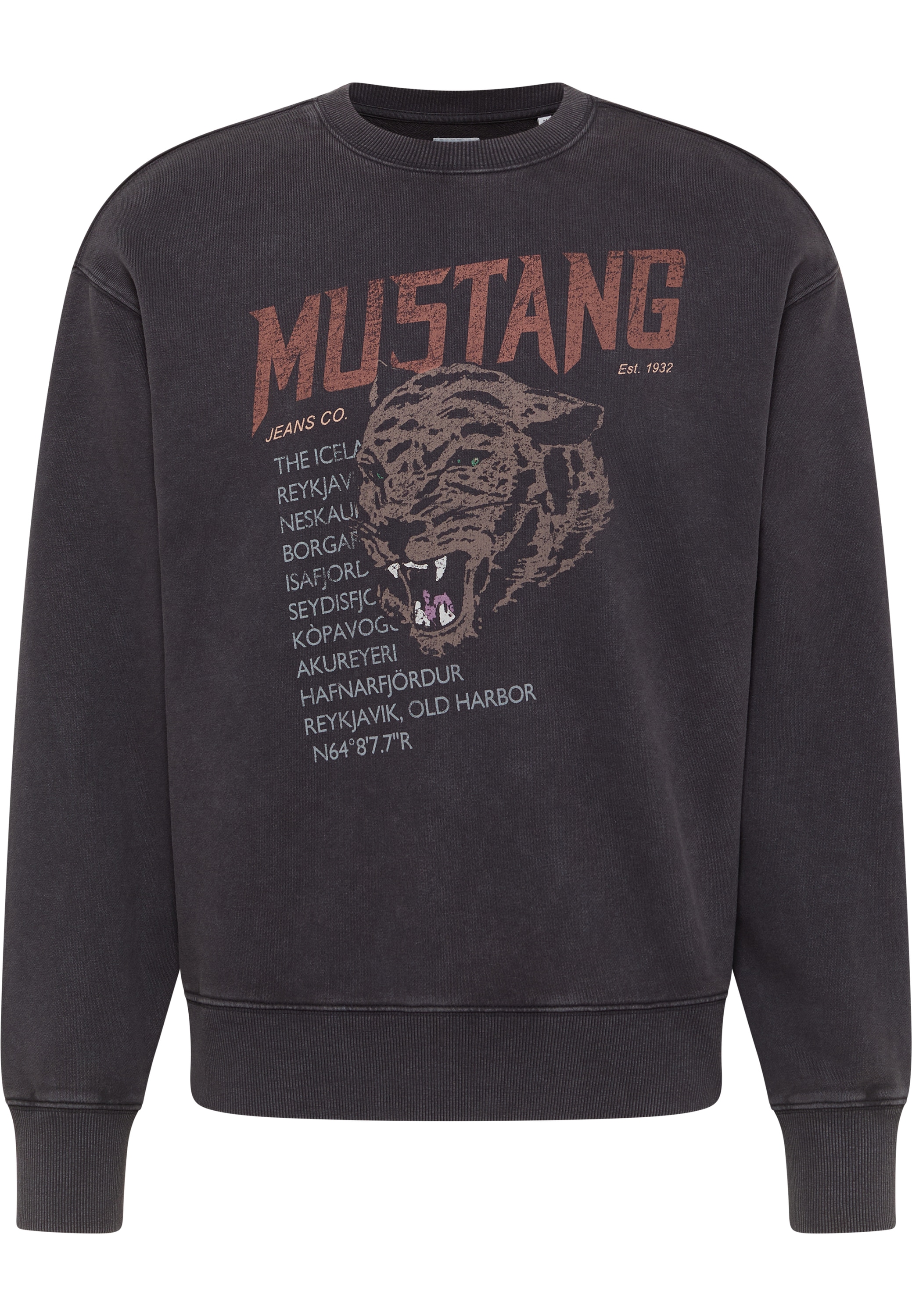 Sweatshirt »Sweatshirt«