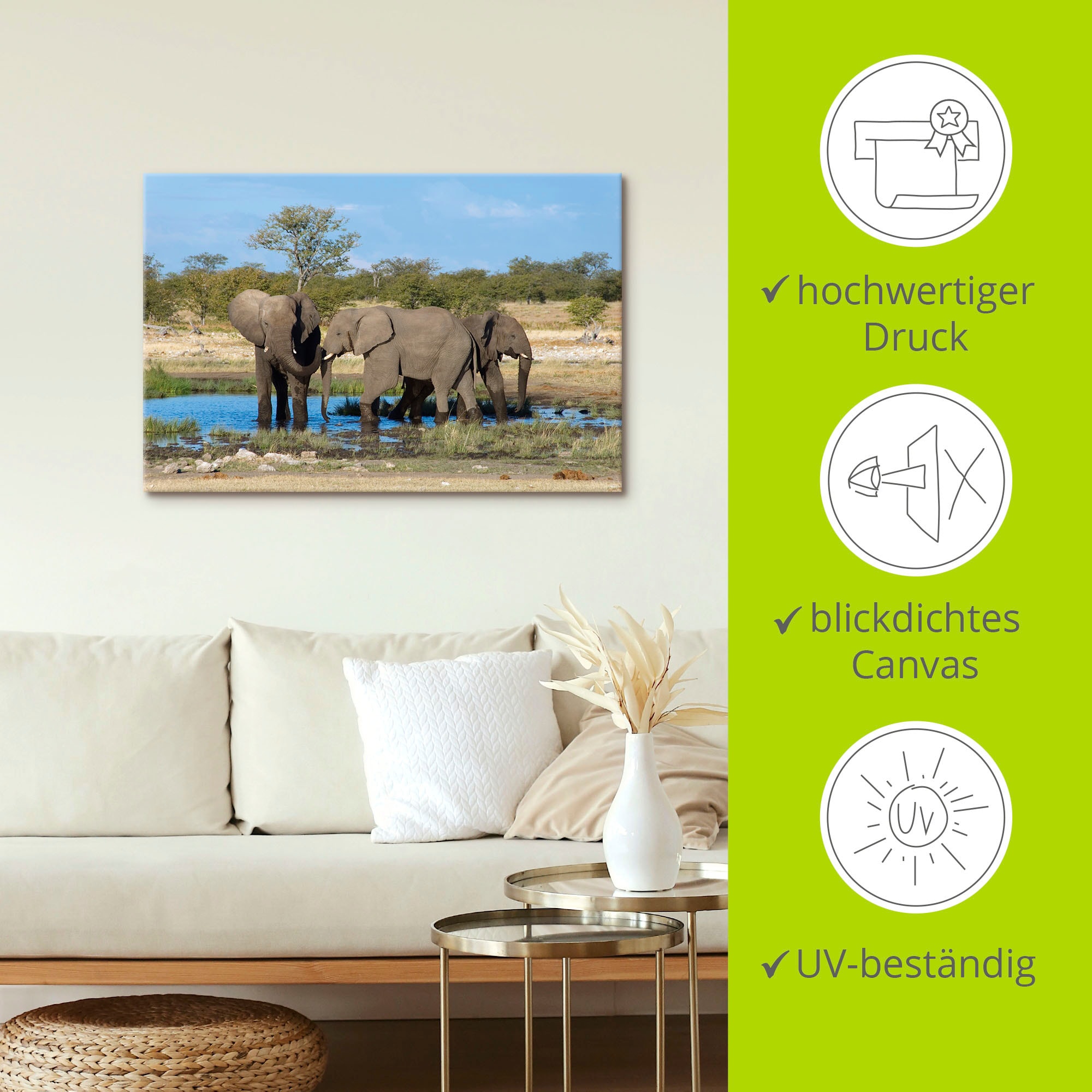 Artland Wandbild in kaufen »Afrikanischer Wandaufkleber (1 Leinwandbild, Poster Elefant Elefanten bequem Alubild, St.), Bilder, EtoshaNationalpark«, oder als Grössen versch