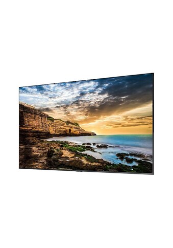 LCD-LED Fernseher »QE65T«, 164,45 cm/65 Zoll, 4K Ultra HD