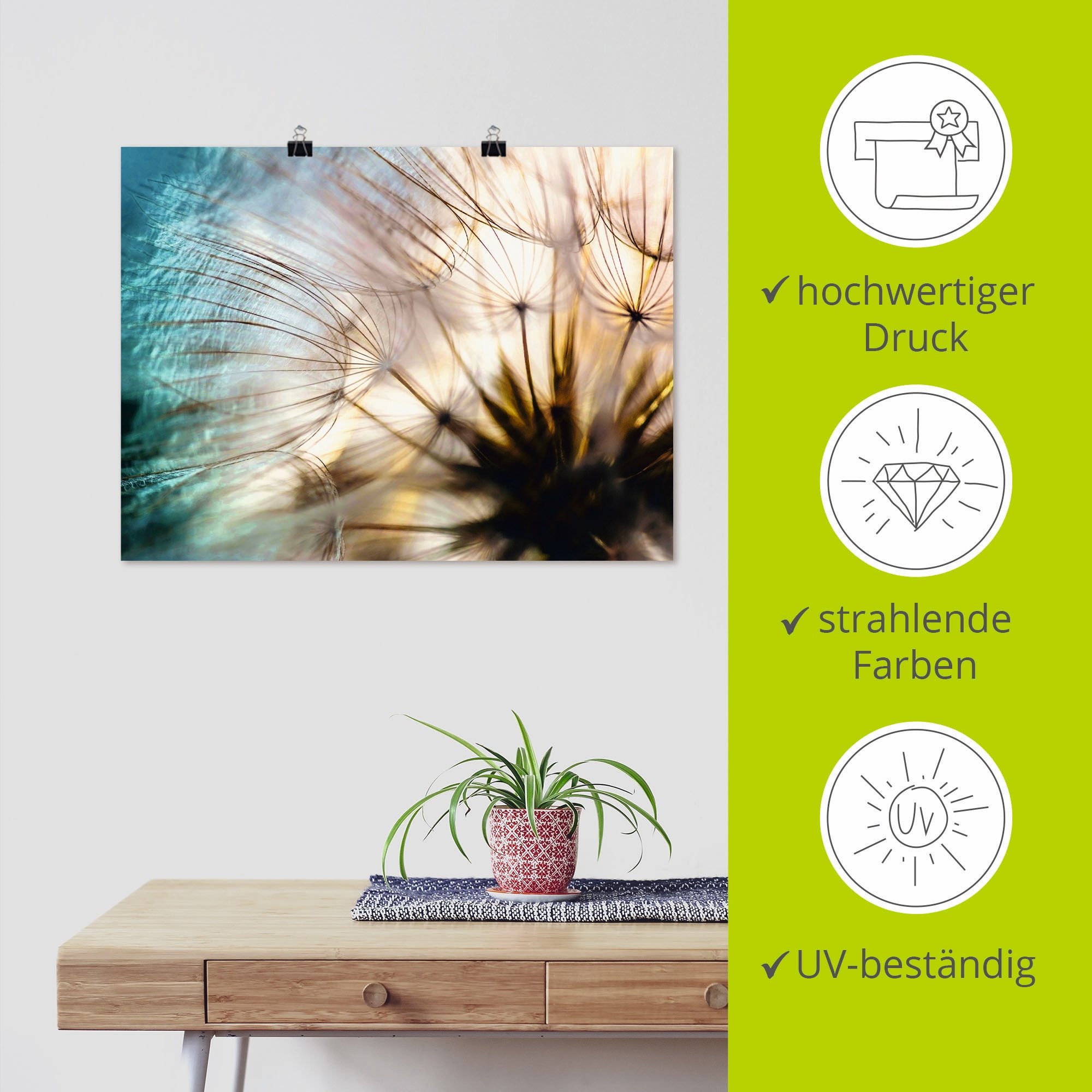 Artland Wandbild »Pusteblume Makro abstrakt«, Blumen, (1 St.), als Alubild, Outdoorbild, Leinwandbild, Poster, Wandaufkleber
