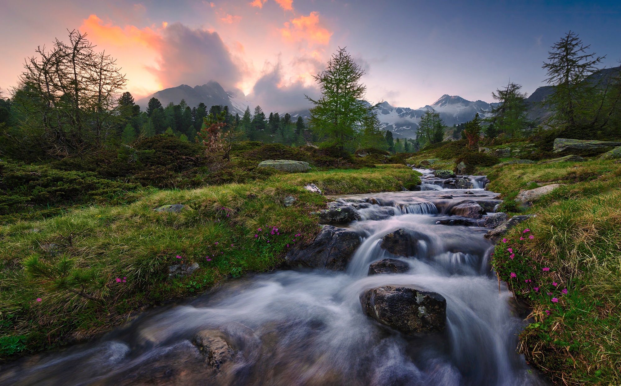 Image of Komar Vliestapete "Digitaldruck Vlies - Wild Paradise - Grösse 450 x 280 cm" bedruckt glatt Wohnzimmer, Schlafzimmer