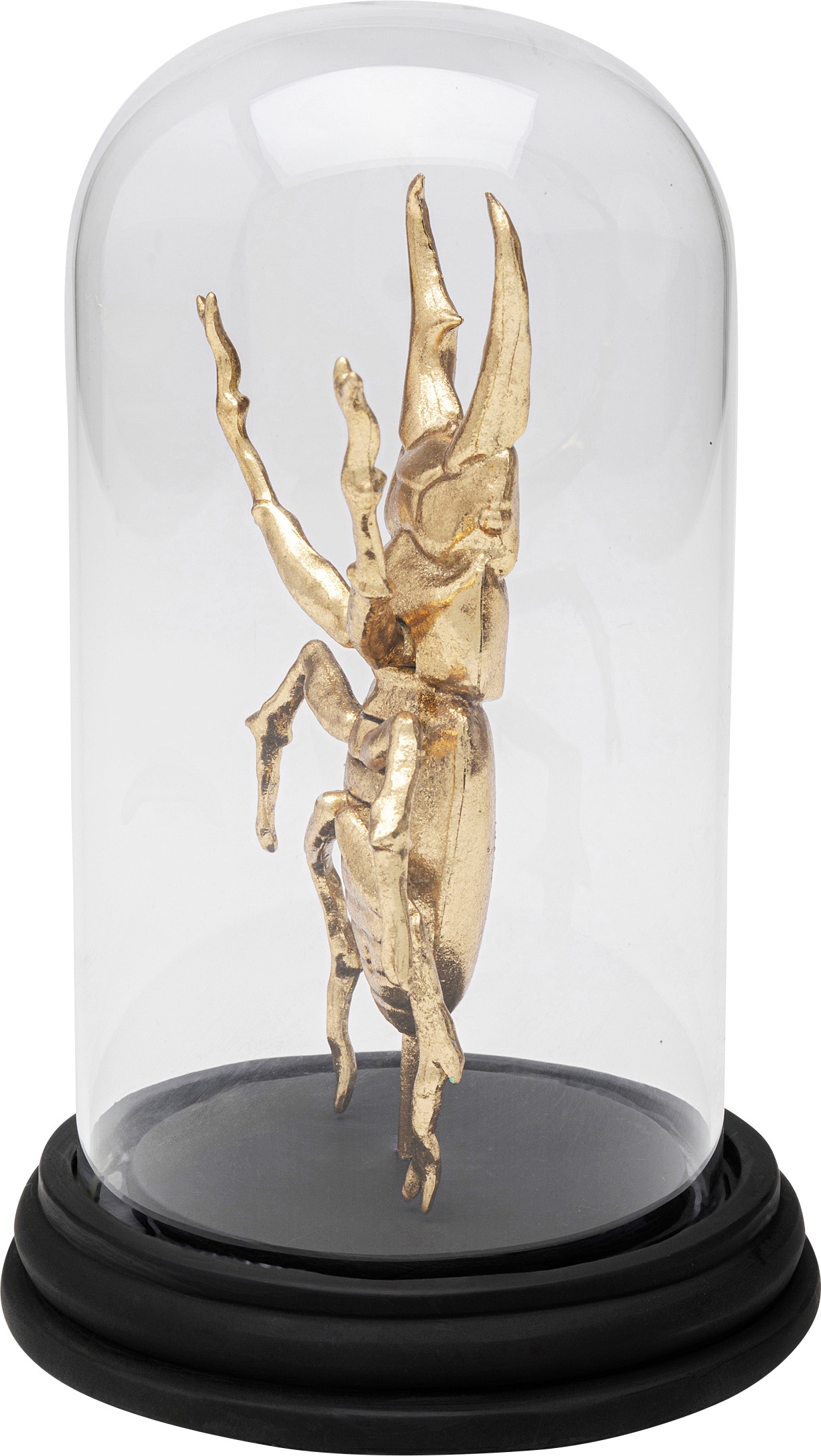 Kare Design Objet décoratif »Hercules Beetle 20cm«