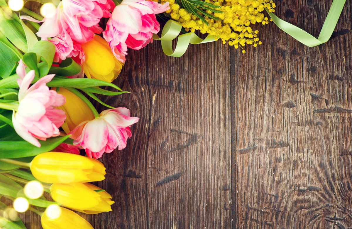 Image of Papermoon Fototapete "HOLZ-WAND-BLUMEN DEKOR TULPEN MIMOSEN ABSTRAKT FANTASIE"