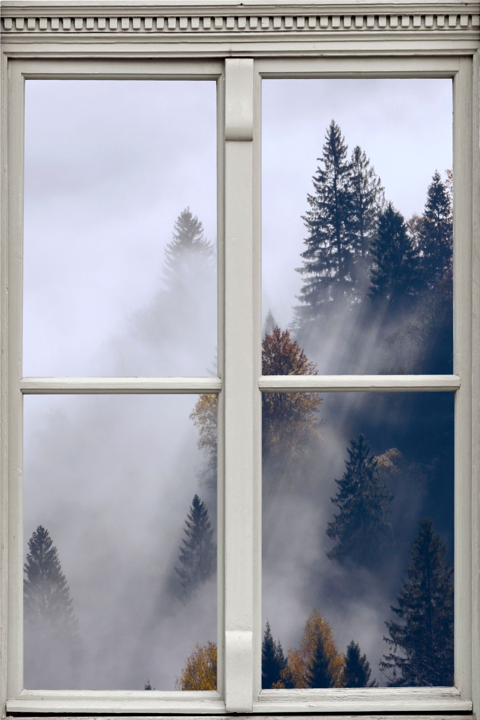 Image of queence Wandsticker »Nebel« bei Ackermann Versand Schweiz